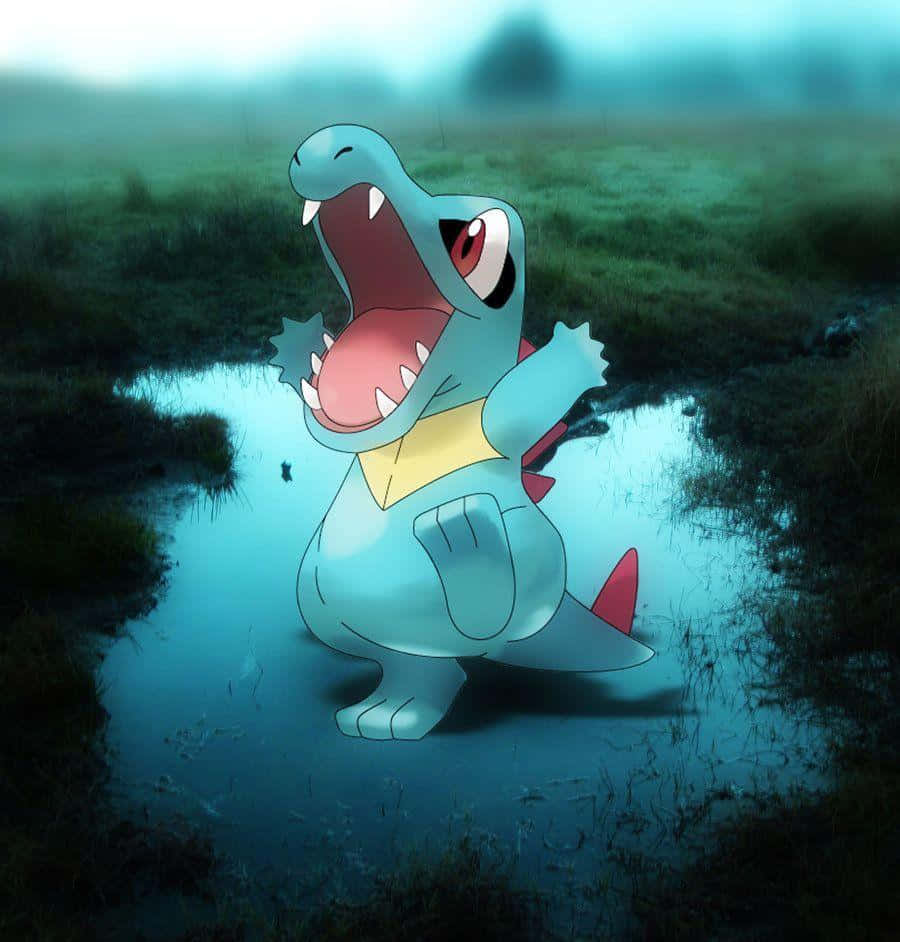 Totodile en un charco real Fondos de pantalla
