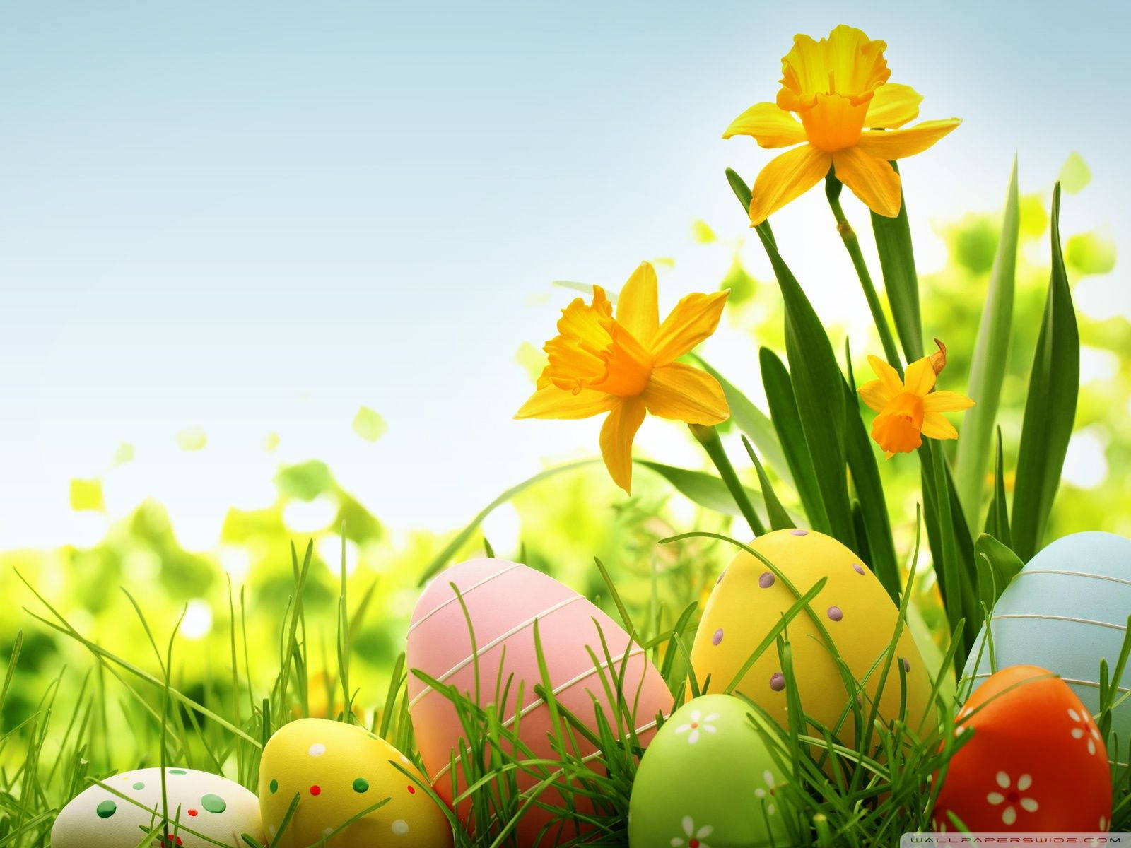Tradición Colorida de Pascua Fondos de pantalla