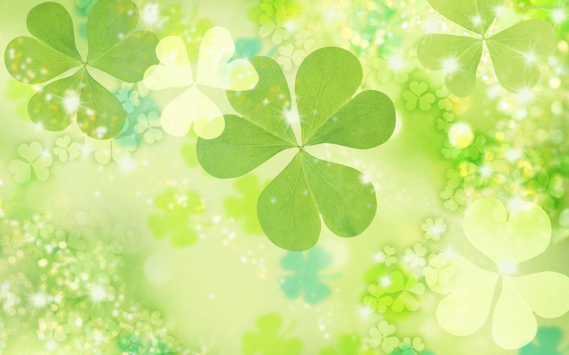 Trébol Verde Muy Claro para Escritorio Fondos de pantalla