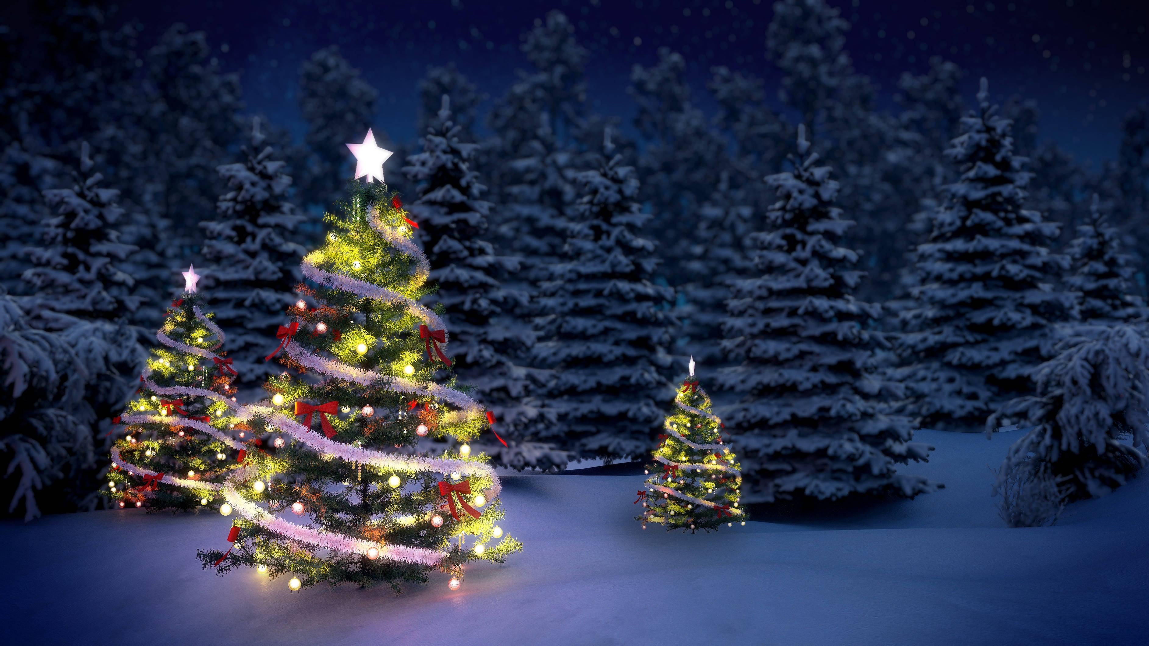 Tres Hermosos Árboles de Navidad al Aire Libre Fondos de pantalla