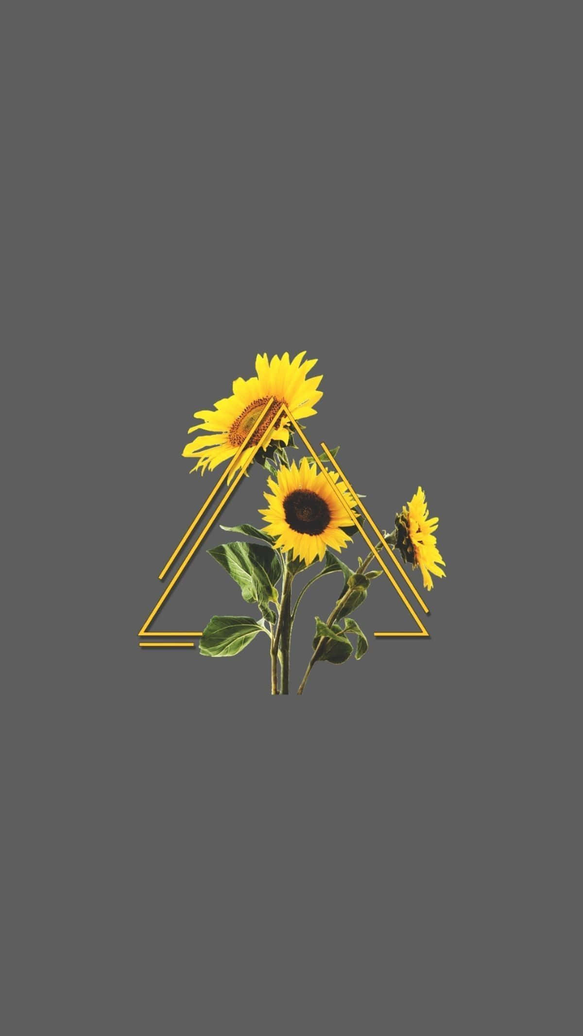 Triángulo con girasol estético para iPhone Fondos de pantalla