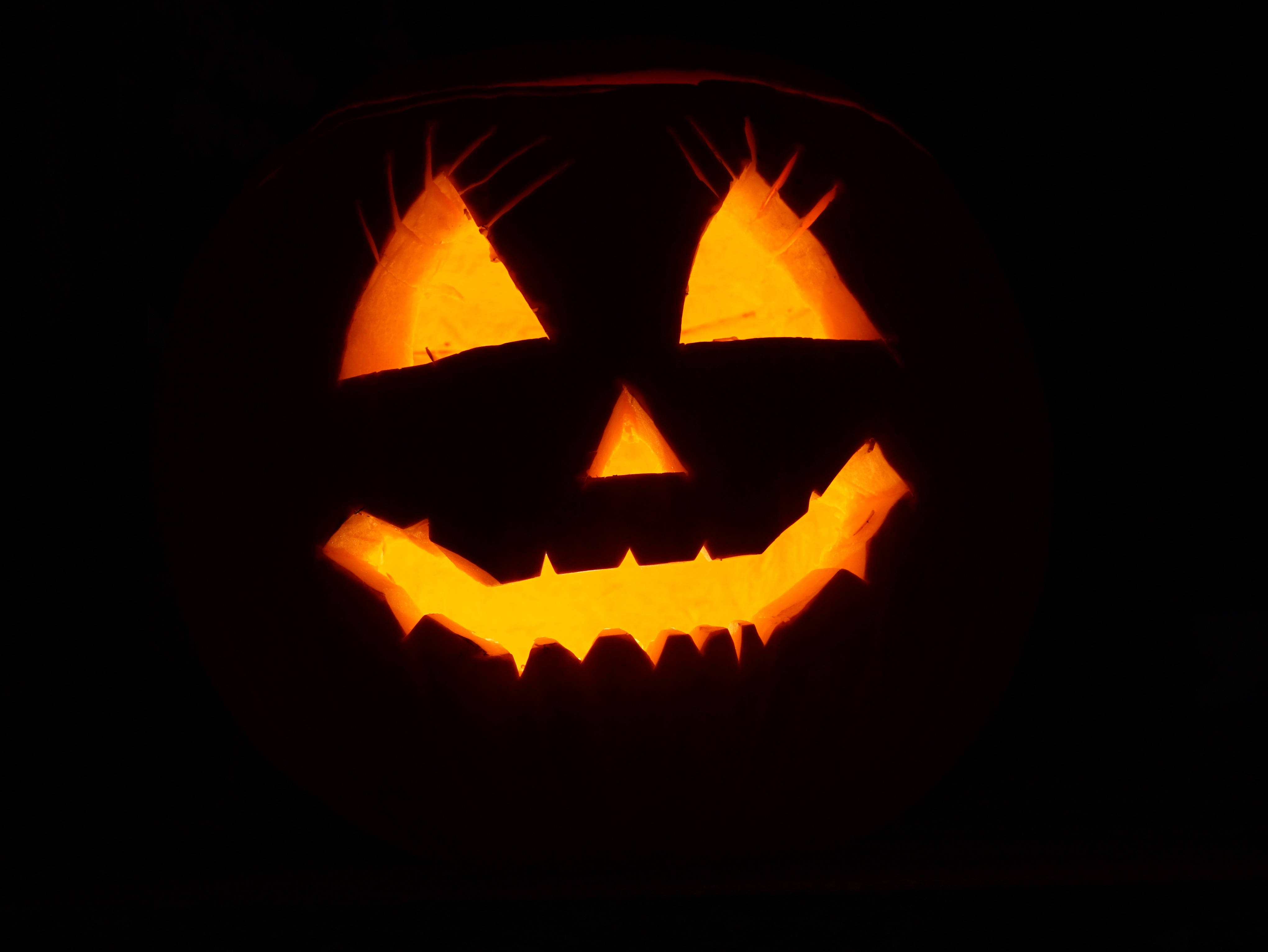Trick or Treat - Celebra Halloween con una Calabaza Negra Fondos de pantalla