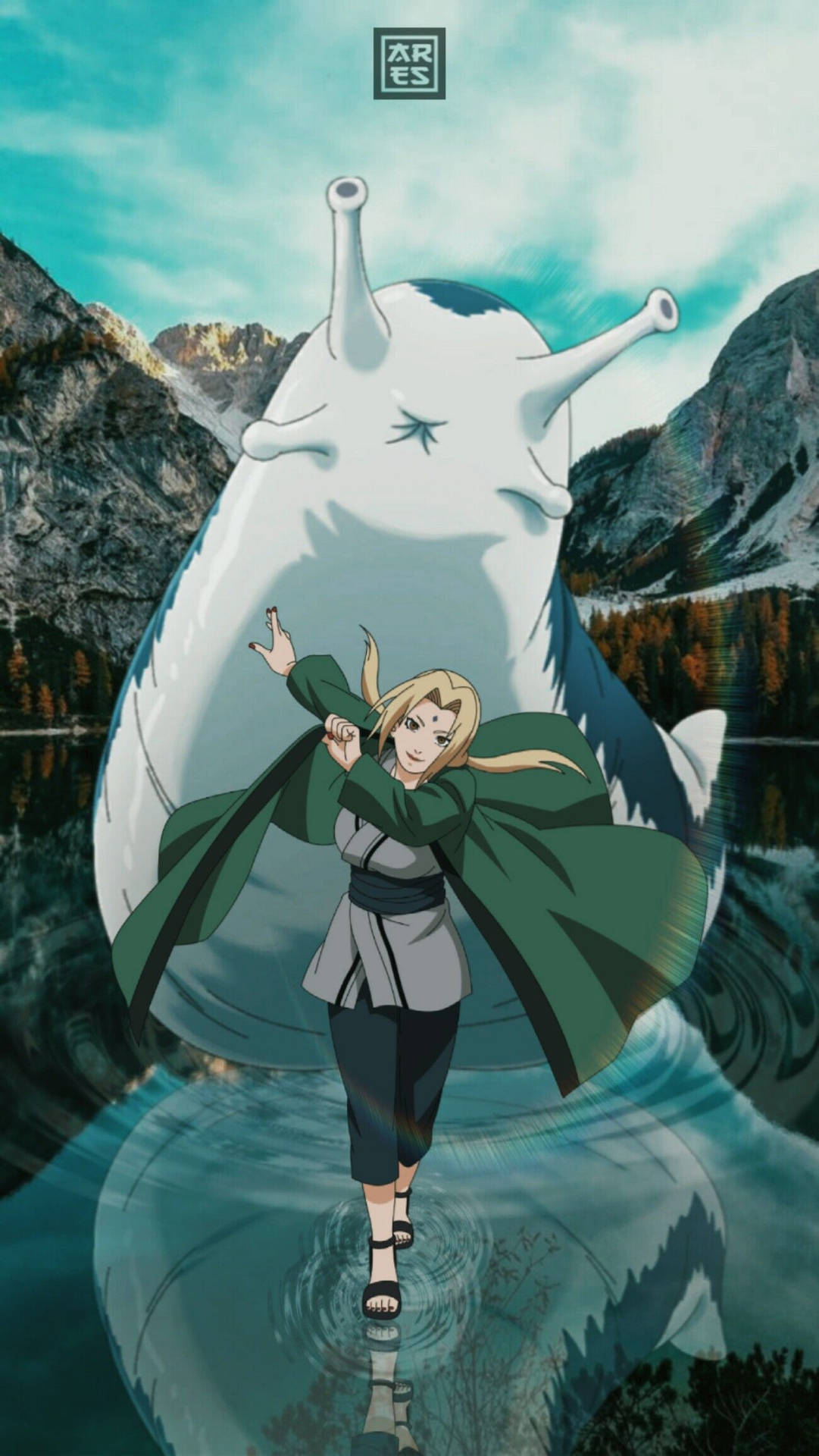 Tsunade y Katsuyu Fondos de pantalla