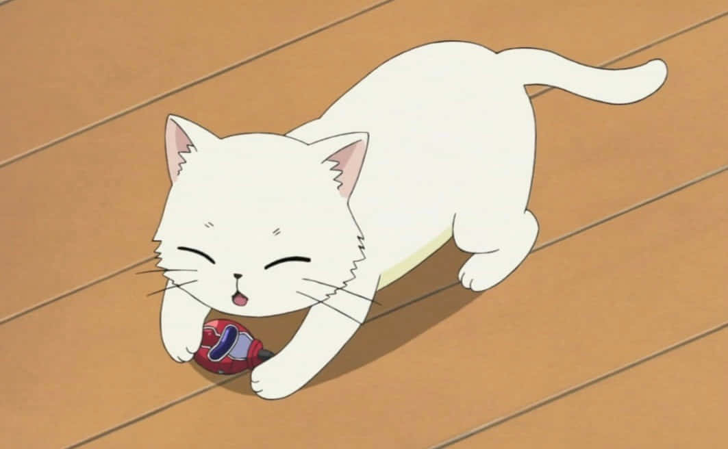 Un adorable gato anime se va de aventura Fondos de pantalla