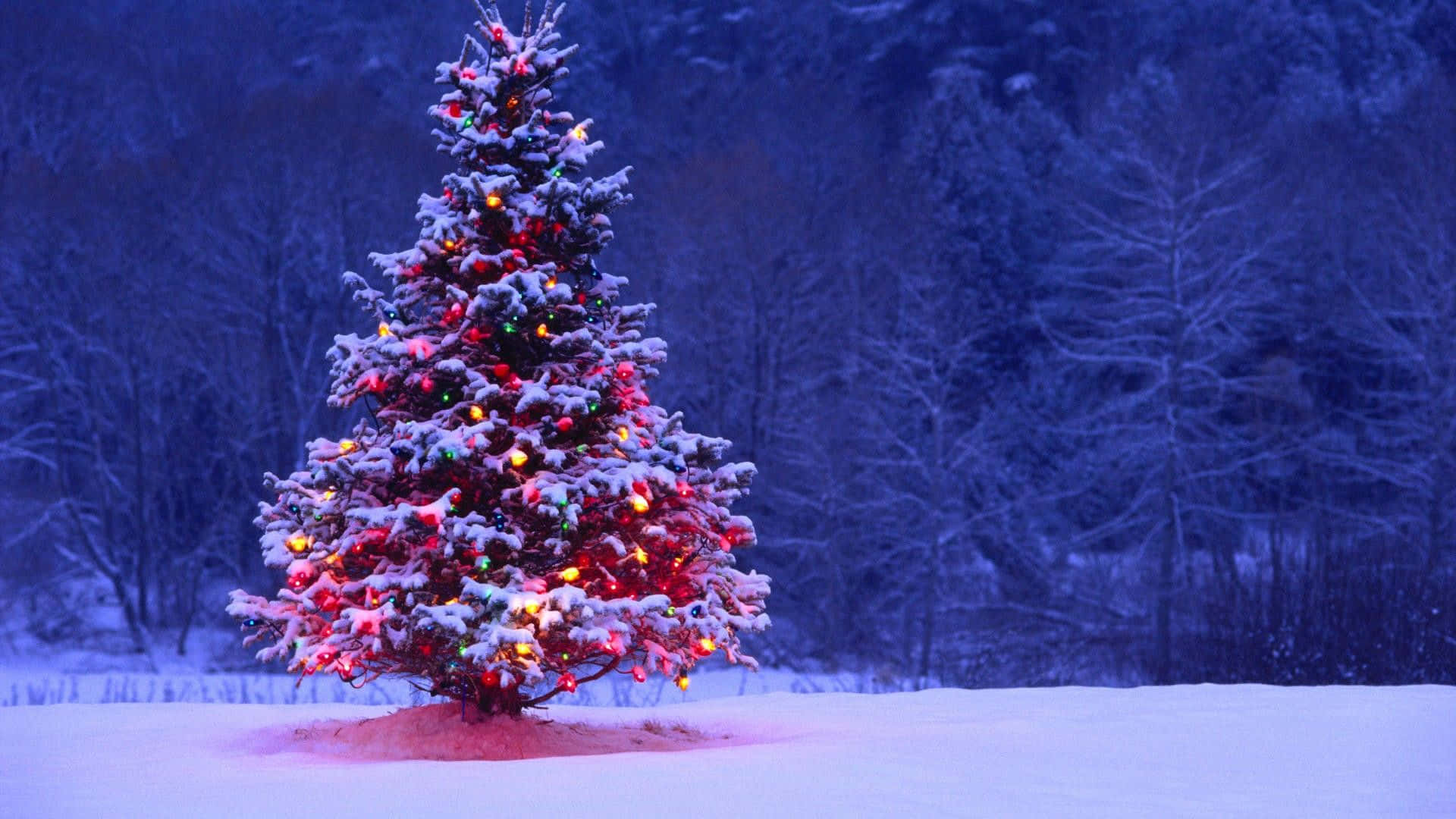 un árbol de Navidad en la nieve con luces encendidas Fondos de pantalla