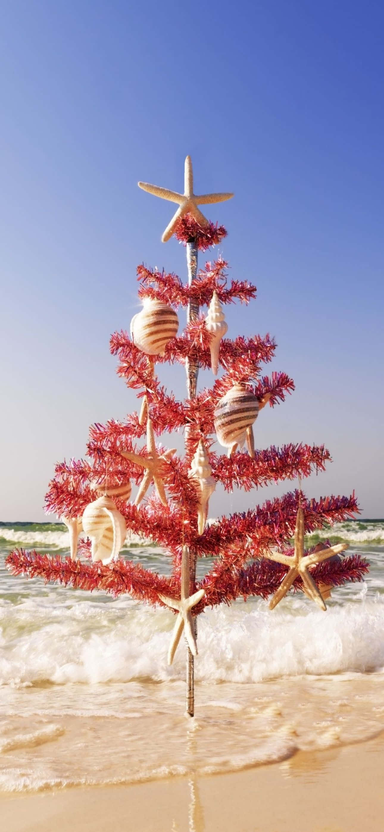 Un árbol de Navidad en la playa con estrellas de mar y conchas Fondos de pantalla