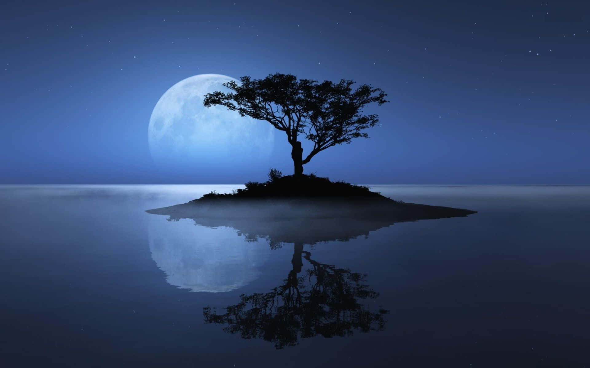 un árbol en una isla con la luna de fondo Fondos de pantalla