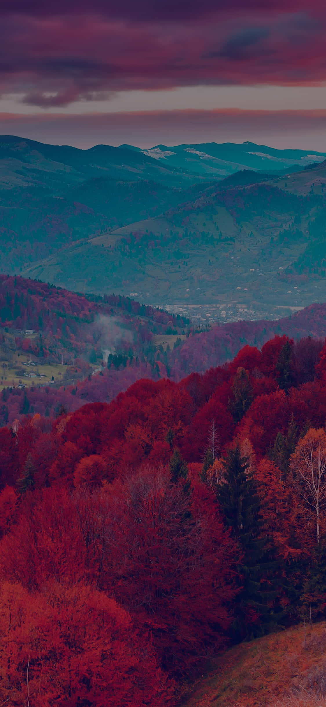 Un árbol rojo contra el cielo despejado Fondos de pantalla