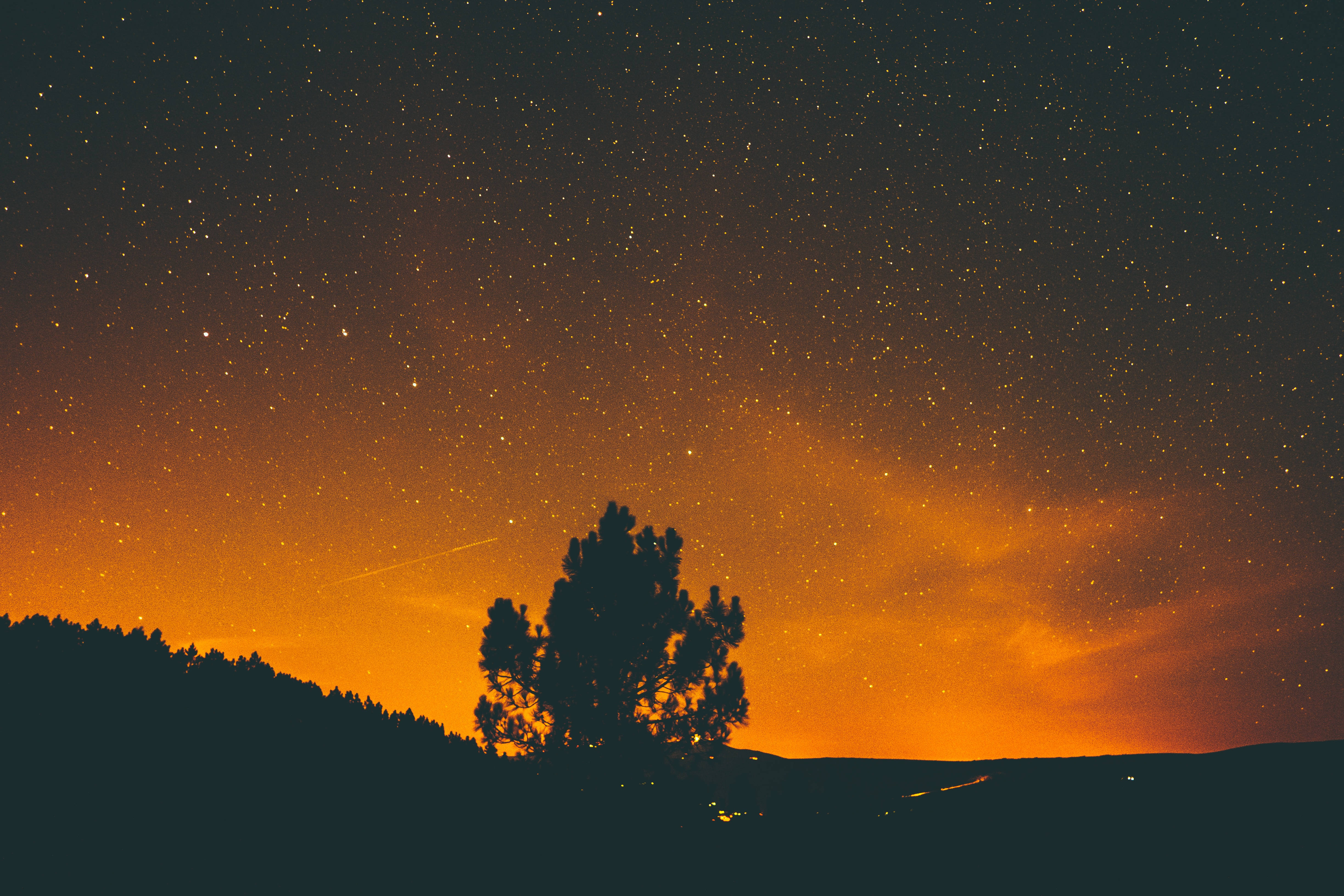 Un Árbol Silueteado en un Tranquilo Cielo Nocturno Fondos de pantalla