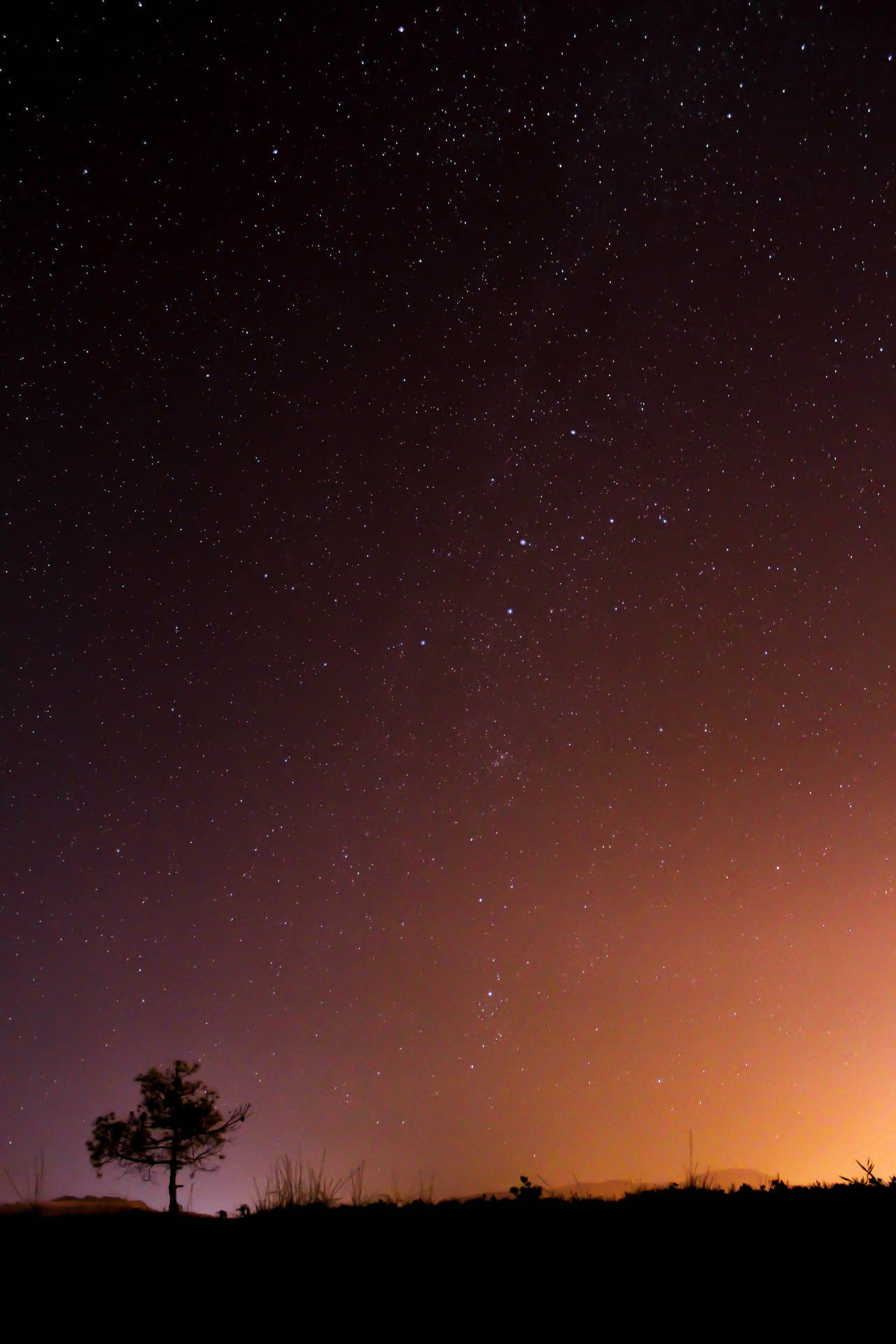 Árbol solitario bajo un cielo estrellado fondo de pantalla iPhone
