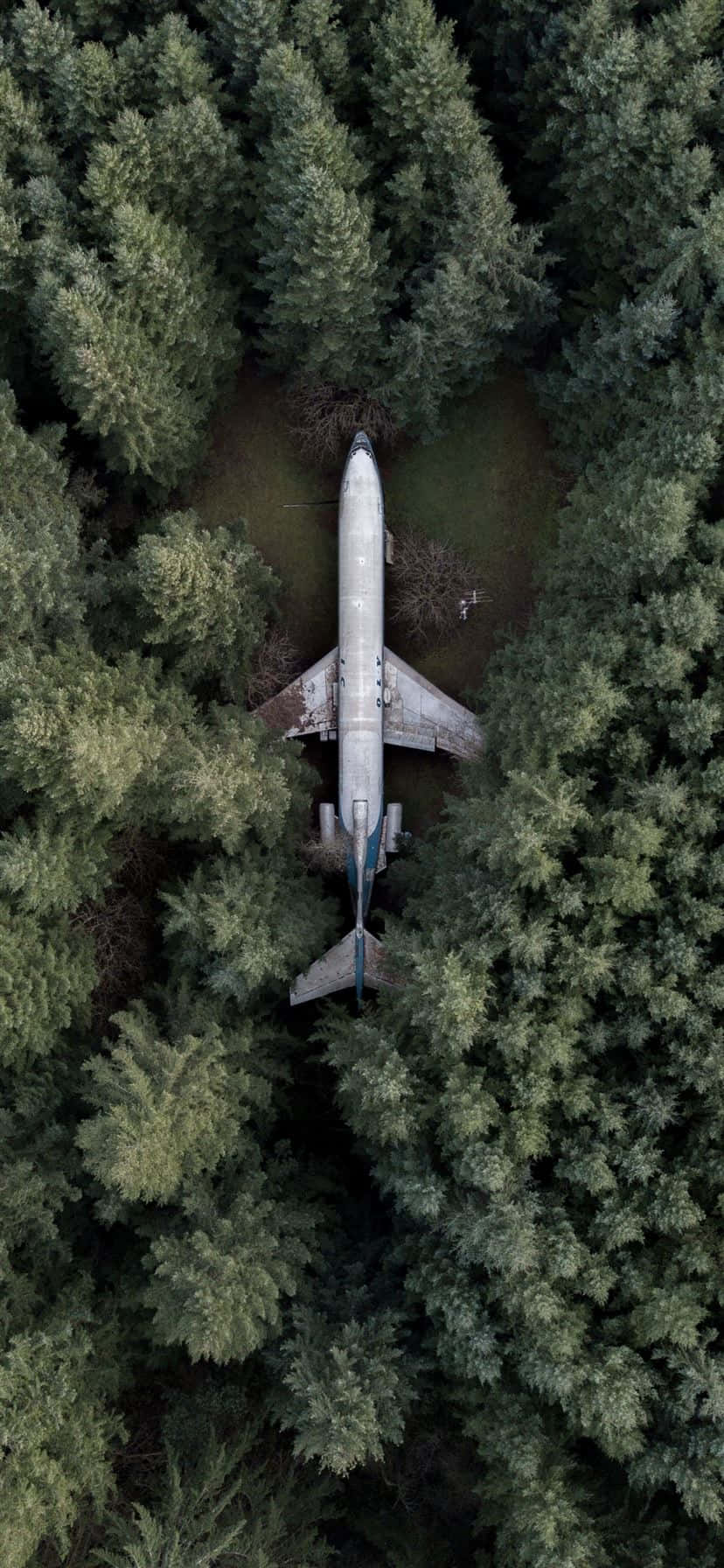 Un avión blanco en vuelo contra un cielo azul de fondo en un iPhone. Fondos de pantalla