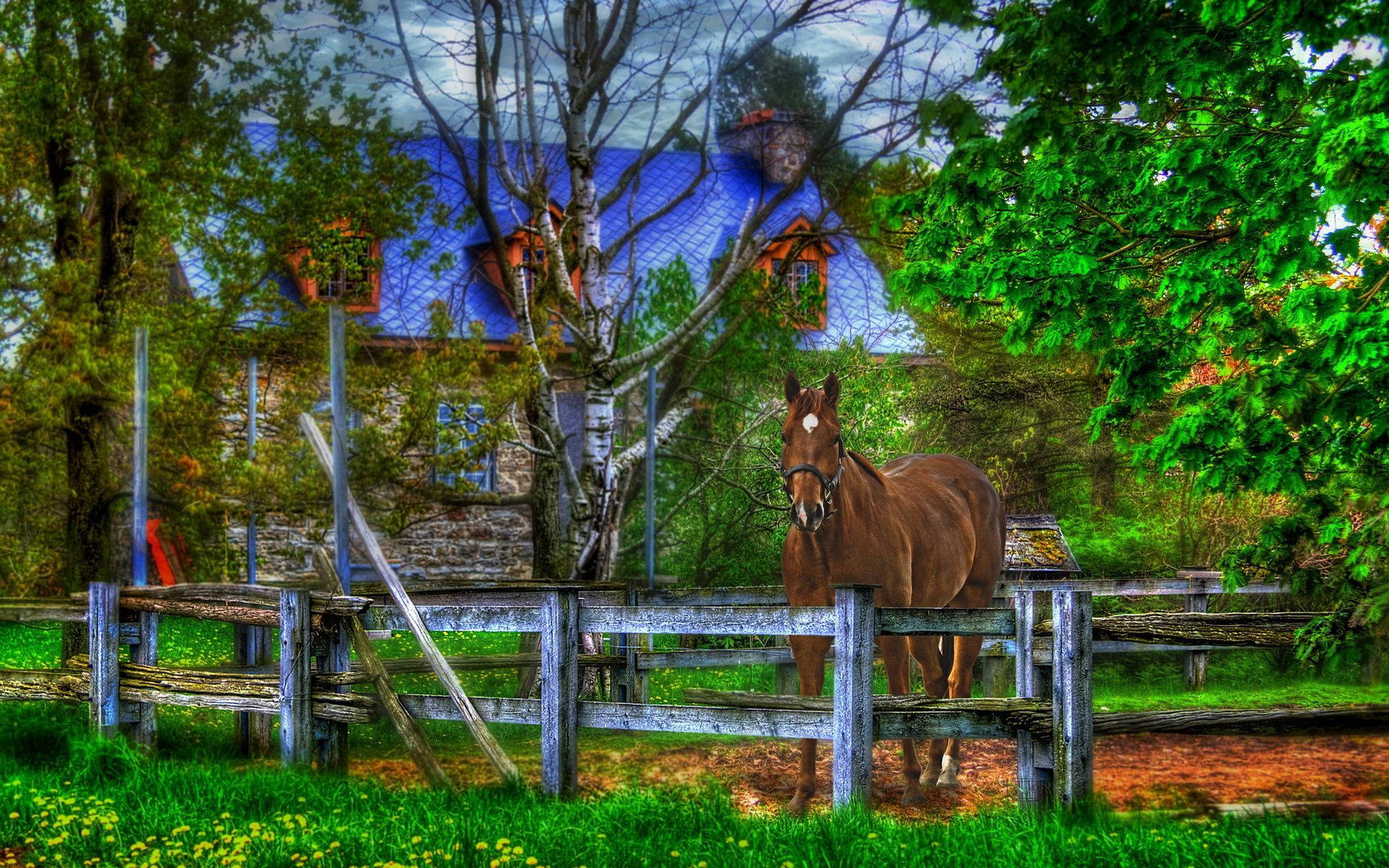 Fondo de pantalla de arte digital de caballo y casa