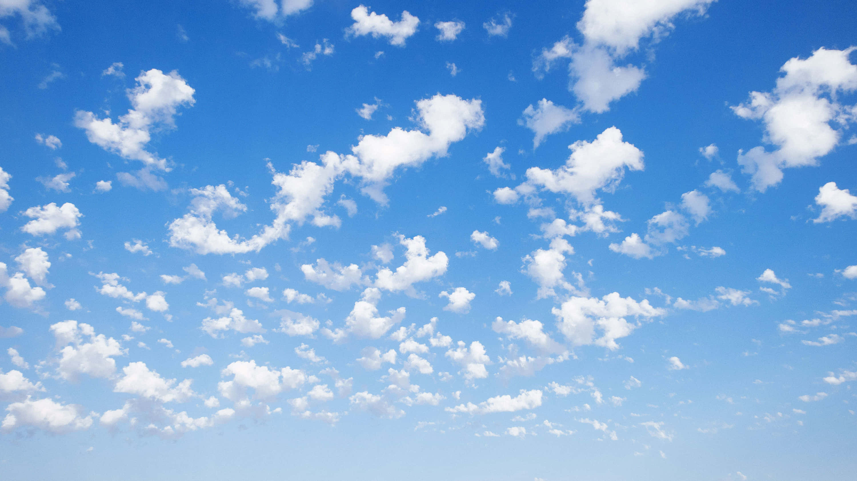 un cielo azul con nubes blancas y un campo de hierba Fondos de pantalla