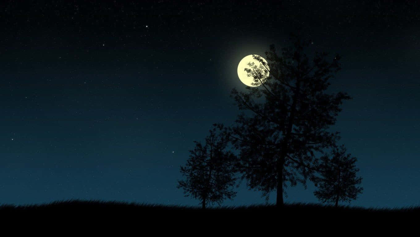 un cielo nocturno con árboles y una luna Fondos de pantalla