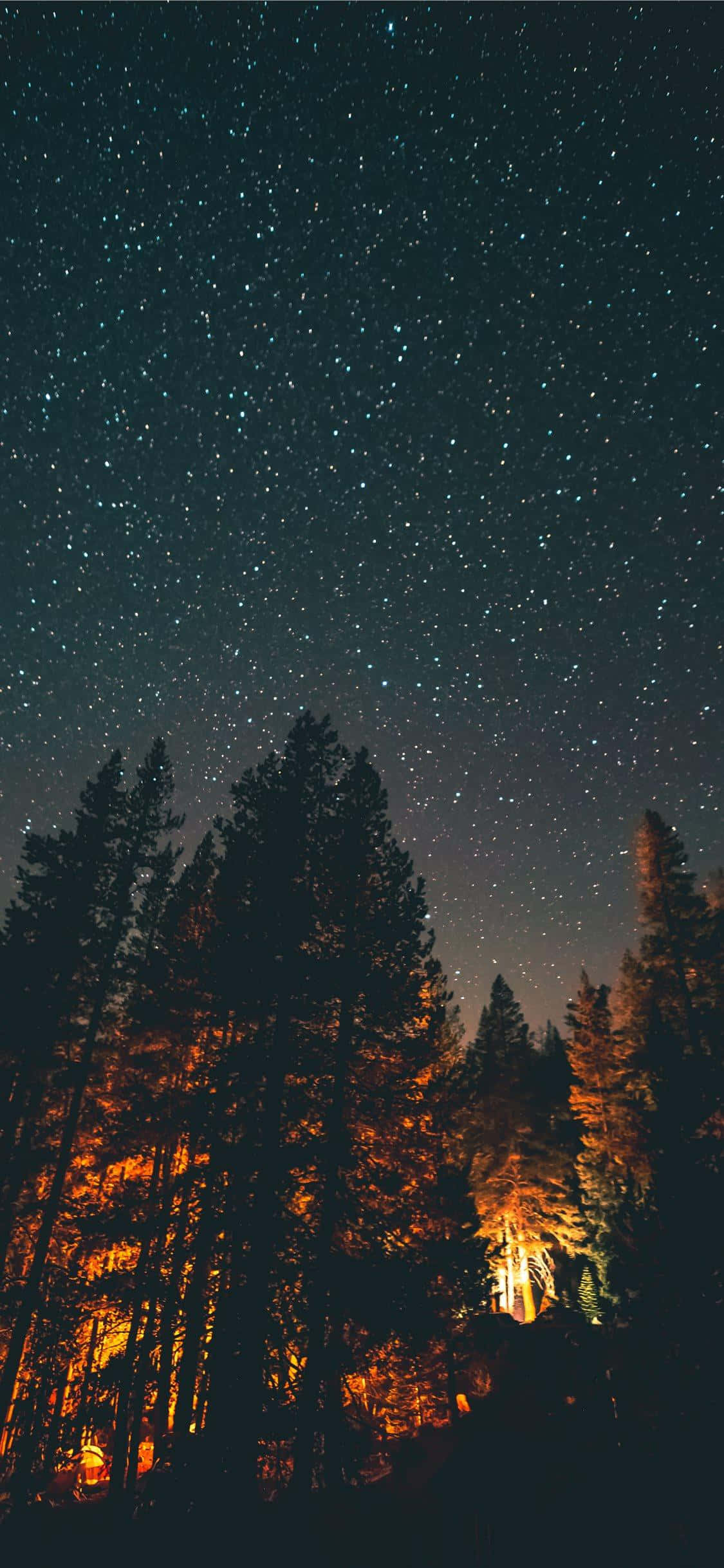Un cielo nocturno con estrellas sobre un bosque Fondos de pantalla