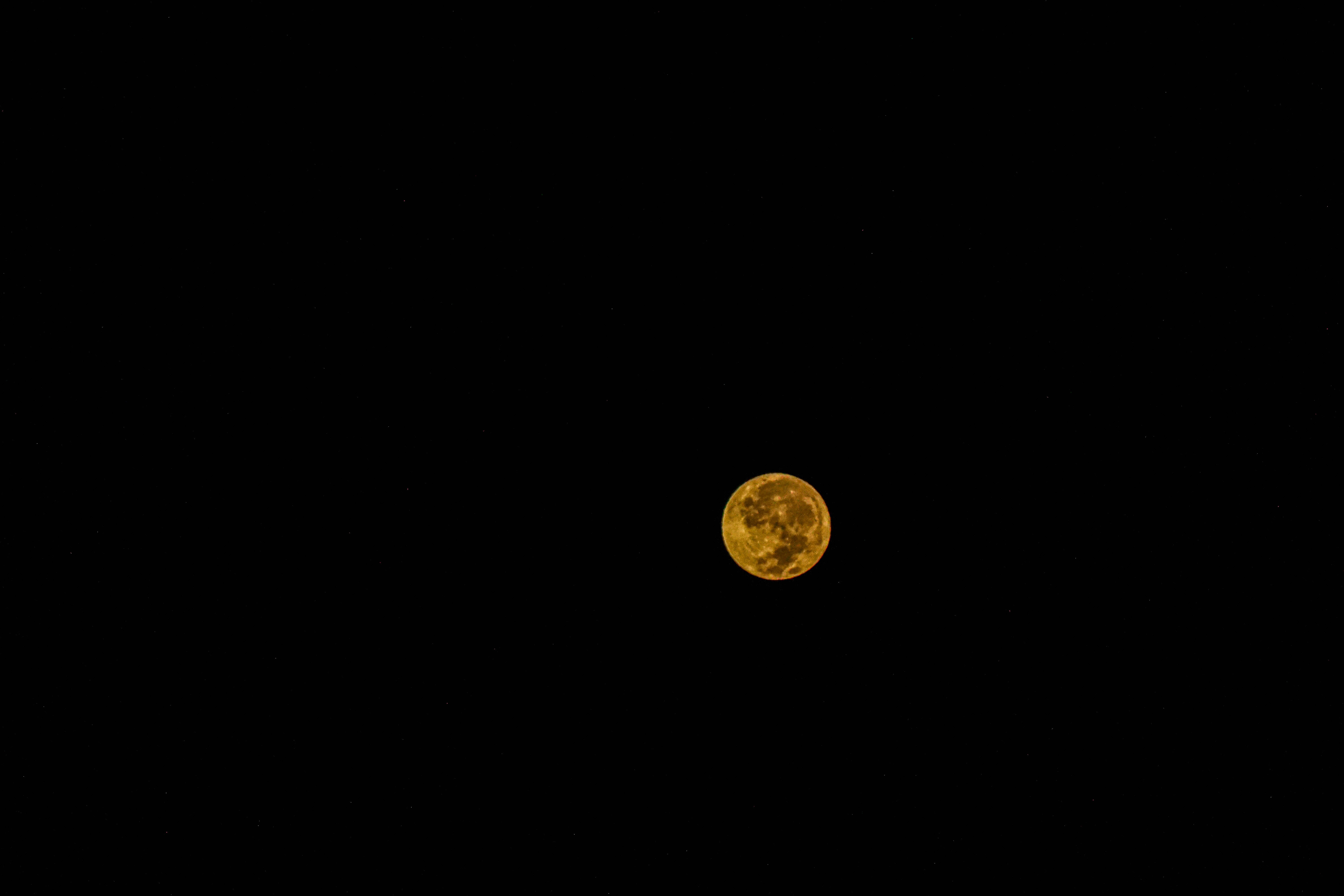 Un cielo nocturno monocromático lleno de una luna amarilla brillante Fondos de pantalla