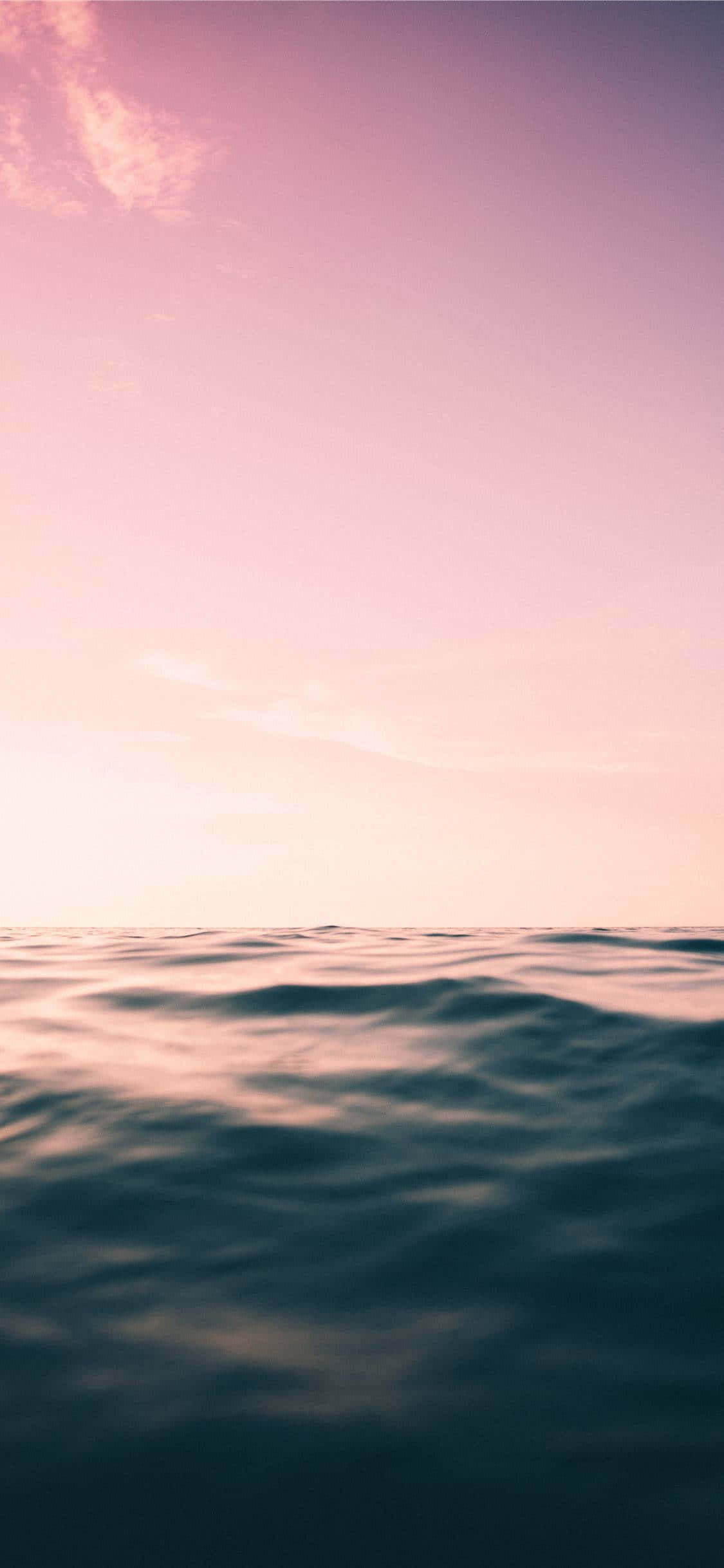 un cielo rosa sobre el océano Fondos de pantalla