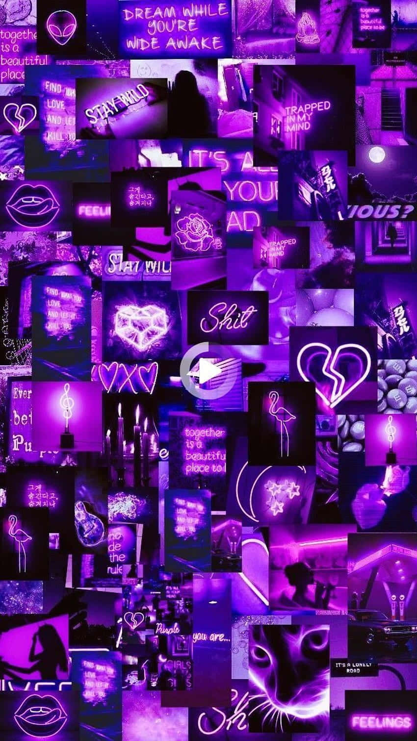 un collage de imágenes moradas con muchos corazones Fondos de pantalla