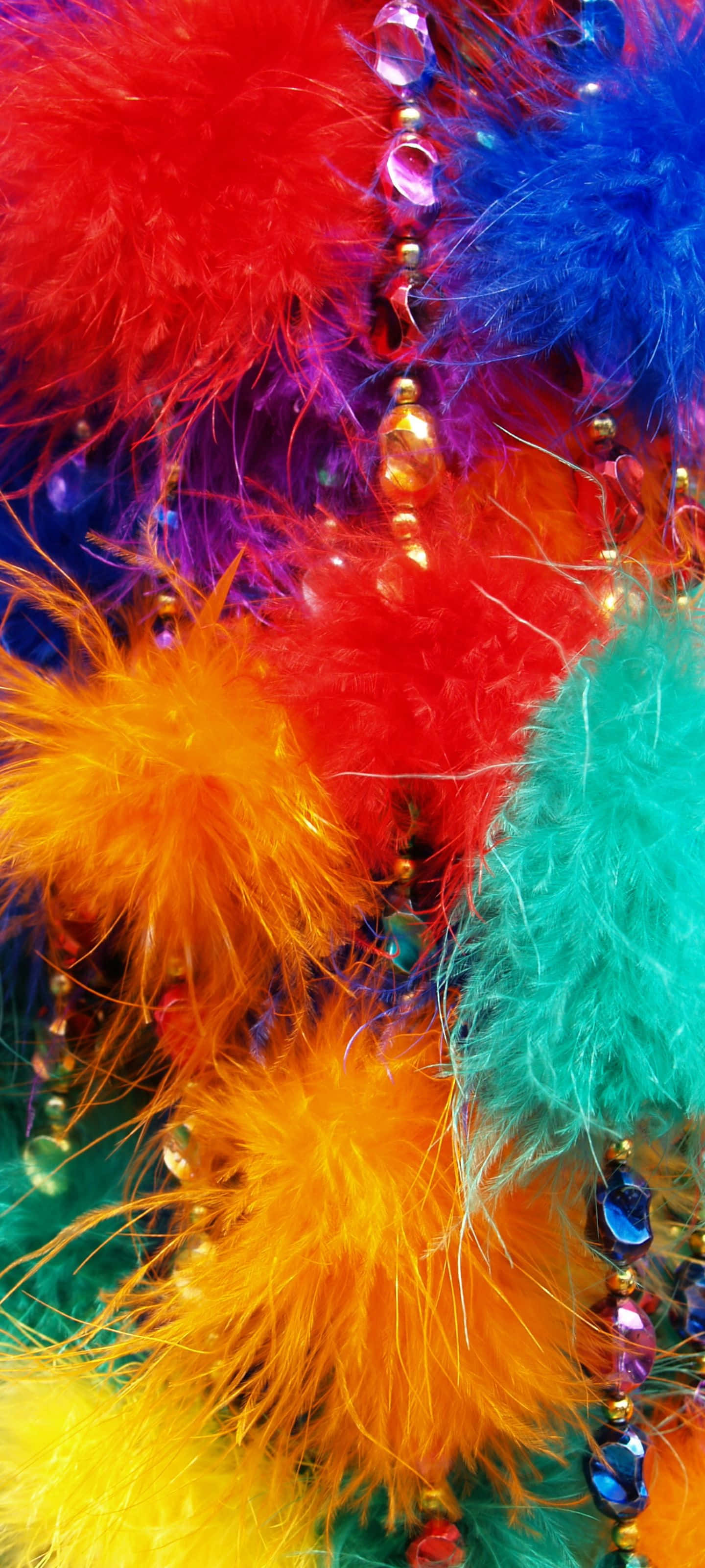 un collar colorido de plumas Fondos de pantalla
