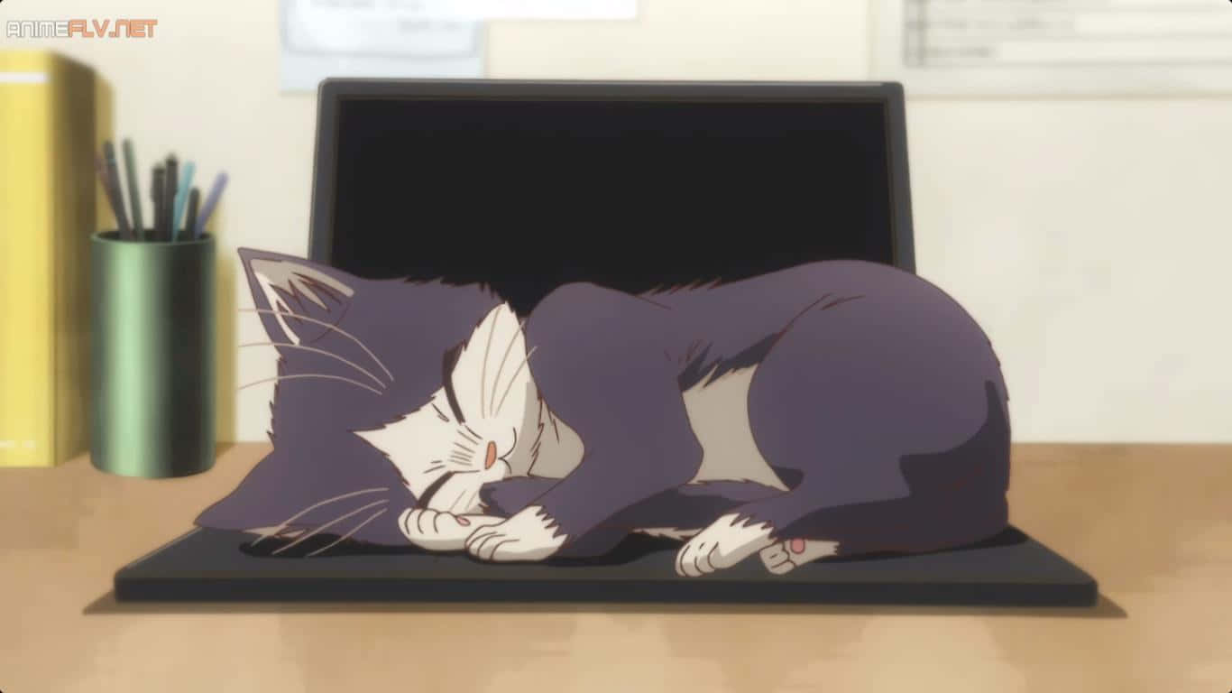 Un conmovedor momento de un hombre relajándose y leyendo con su gato en un entorno interior tranquilo. Fondos de pantalla