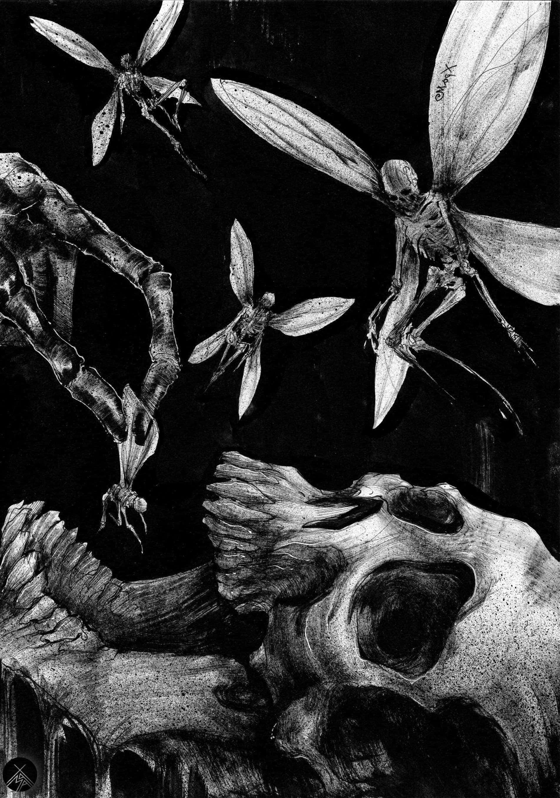 un dibujo de una calavera con una libélula volando sobre ella Fondos de pantalla