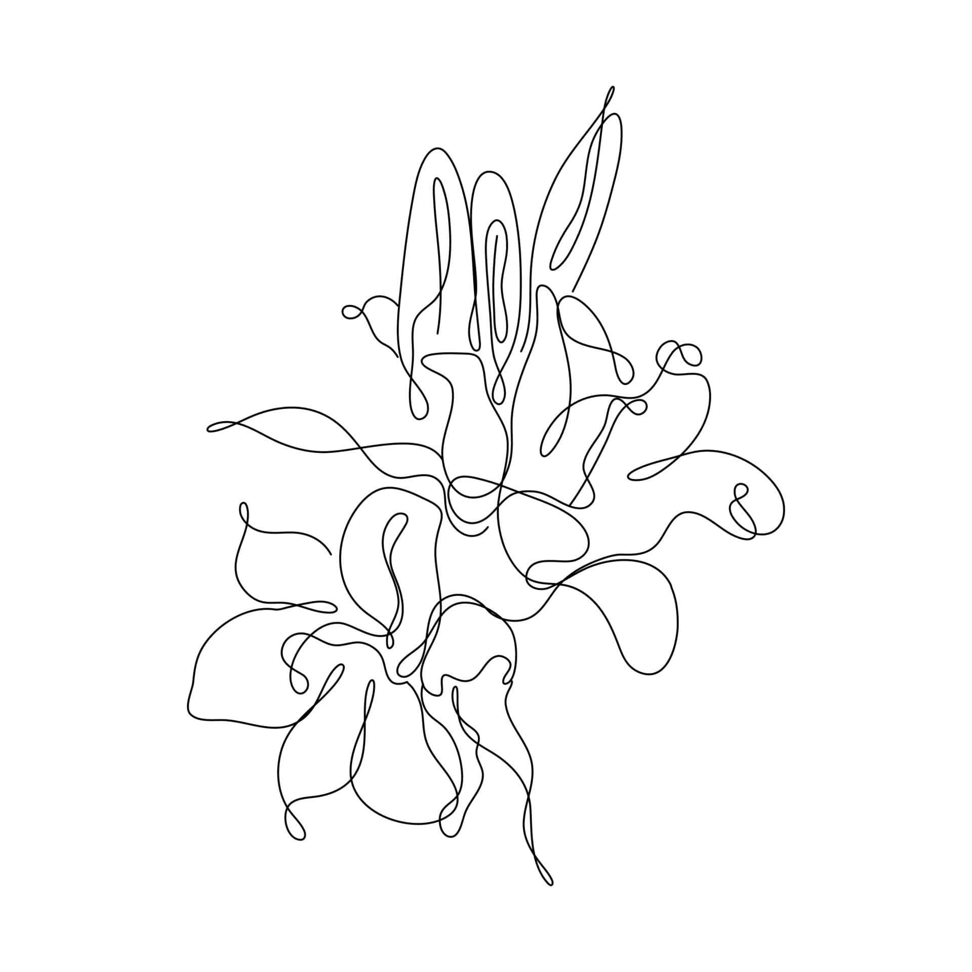 Un dibujo lineal de una flor Fondos de pantalla