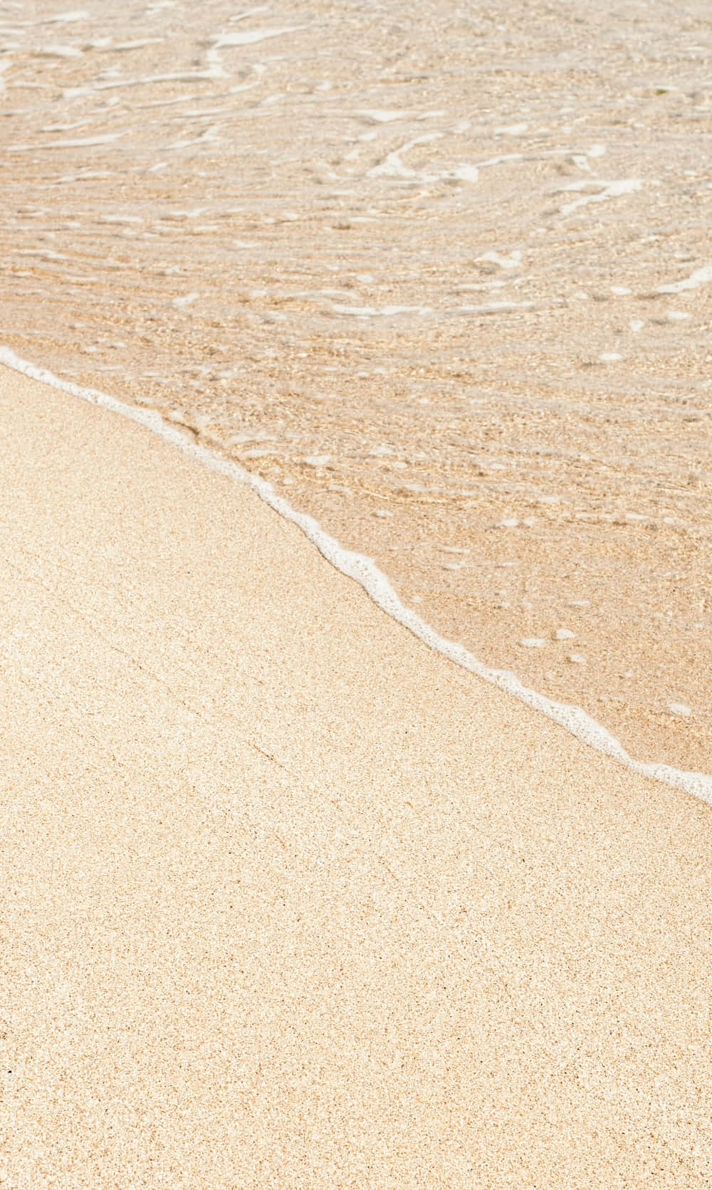 Un elegante tono beige suave y estético Fondos de pantalla