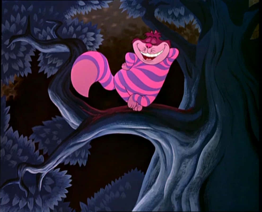 Un Encuentro Inolvidable con el Sonriente Gato de Cheshire Fondos de pantalla