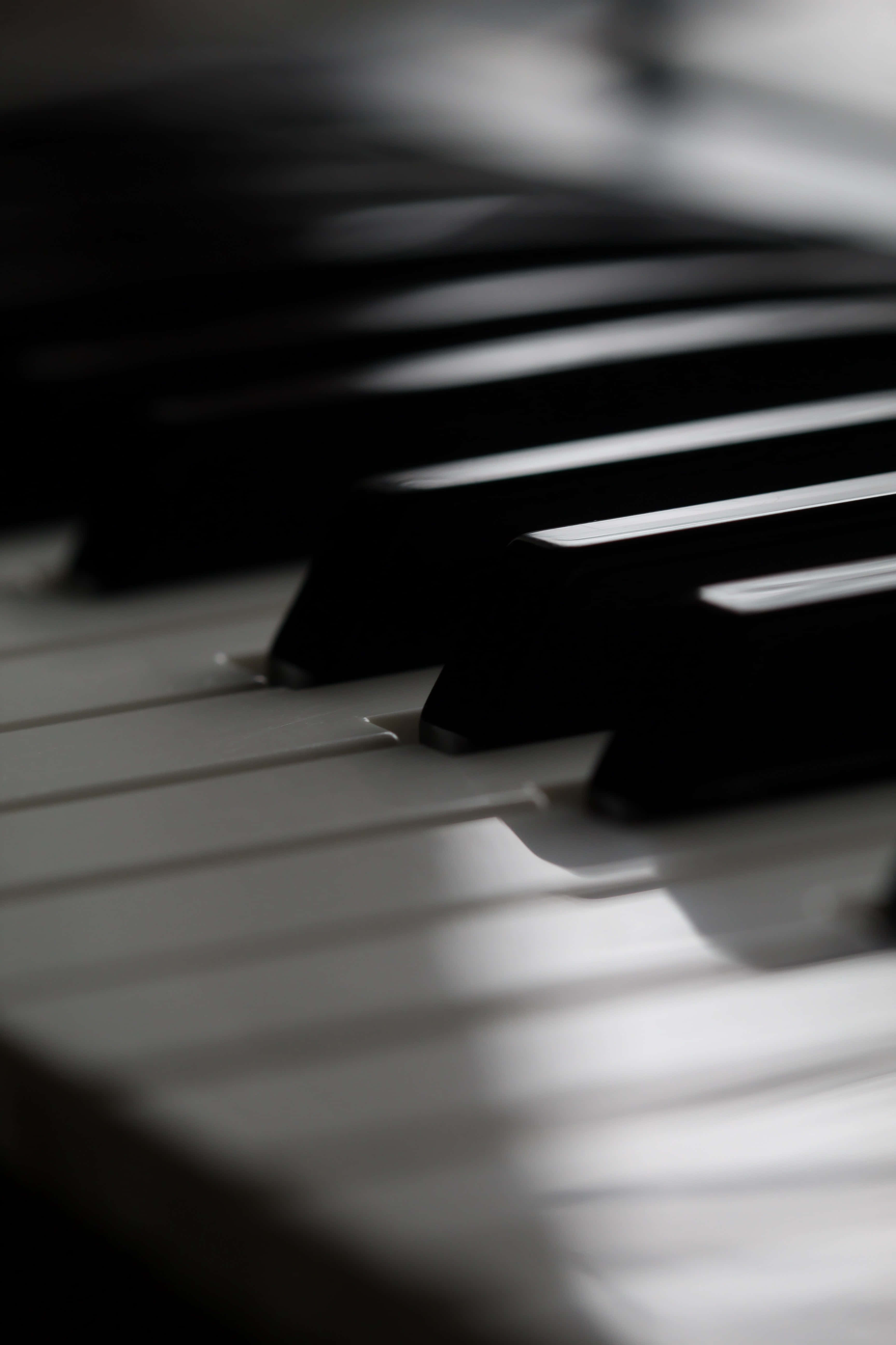 Un estado de ánimo ideológico a través de la hermosa música Fondos de pantalla