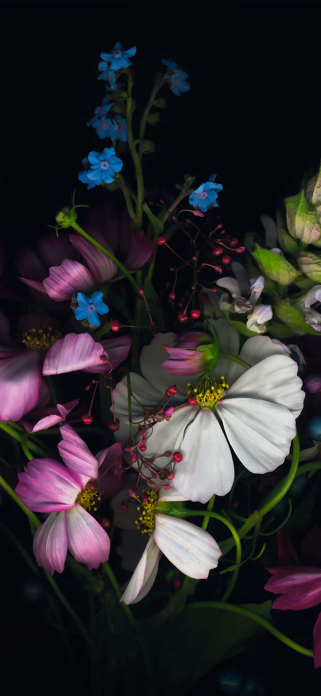 un florero con flores Fondos de pantalla