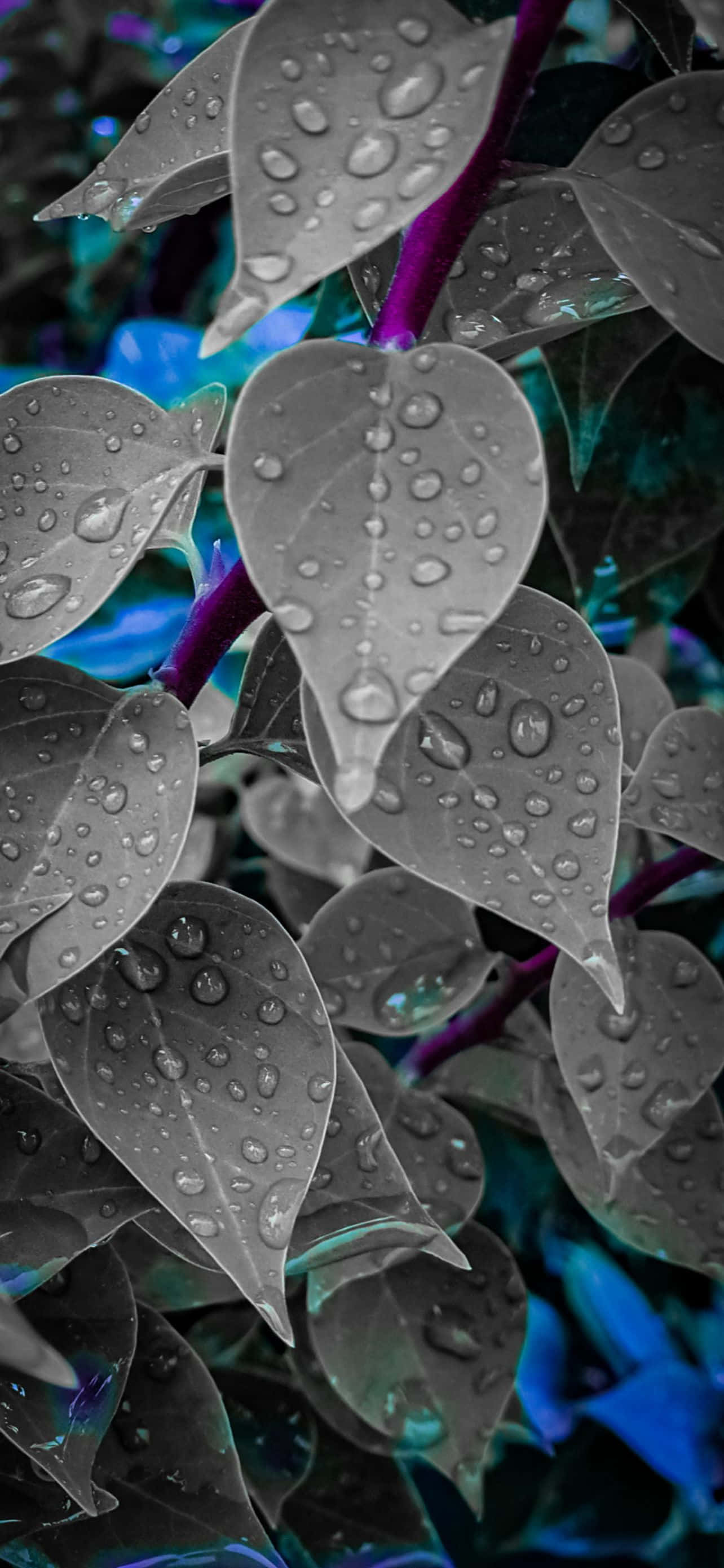 Un fondo abstracto vibrante en tonos púrpura, verde y naranja Fondos de pantalla