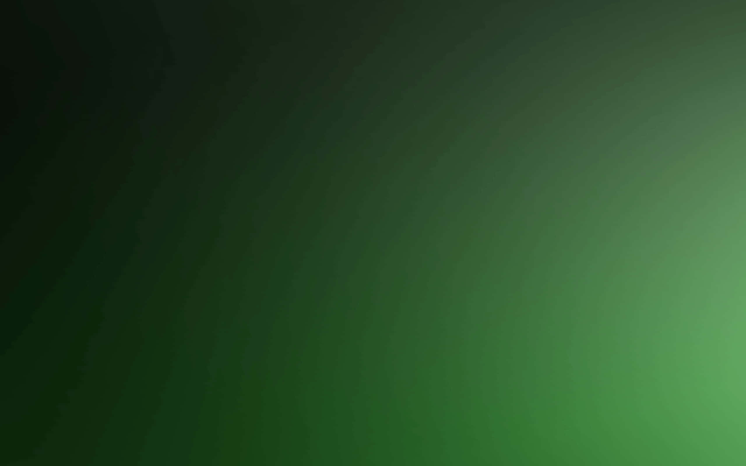 Un Fondo de Color Verde Oscuro Sólido y Audaz Fondos de pantalla