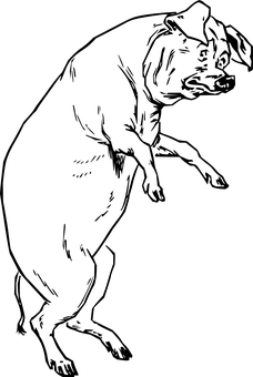 un fondo negro con un cuadrado negro Fondos de pantalla