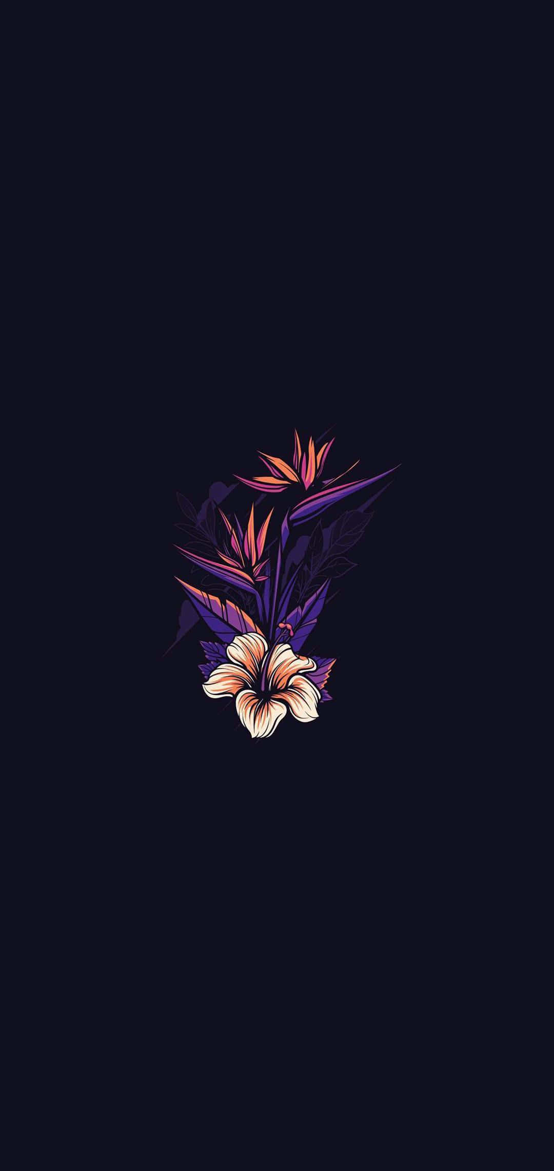 Un fondo negro con una flor púrpura Fondos de pantalla