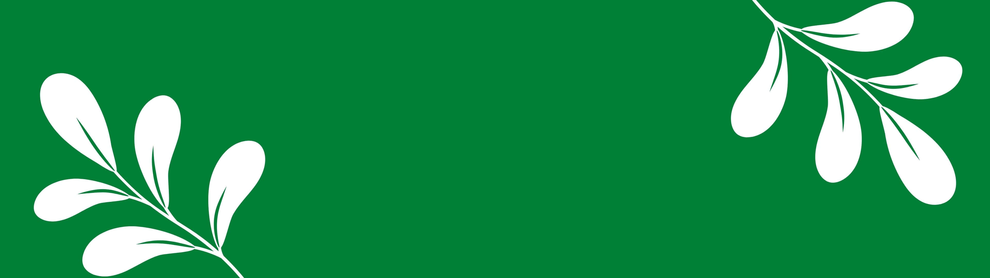 un fondo verde con hojas blancas Fondos de pantalla