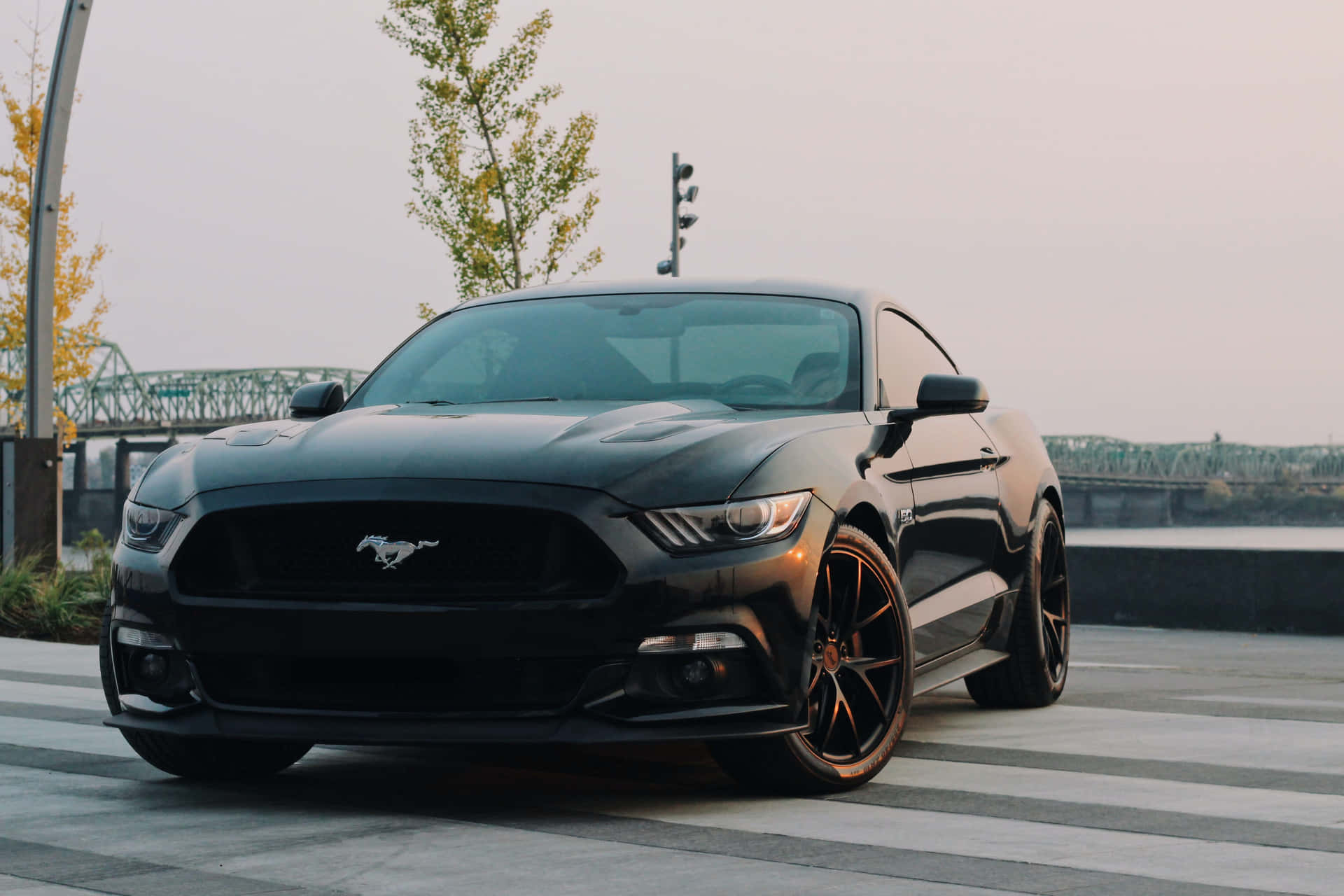 un Ford Mustang negro estacionado en una calle Fondos de pantalla