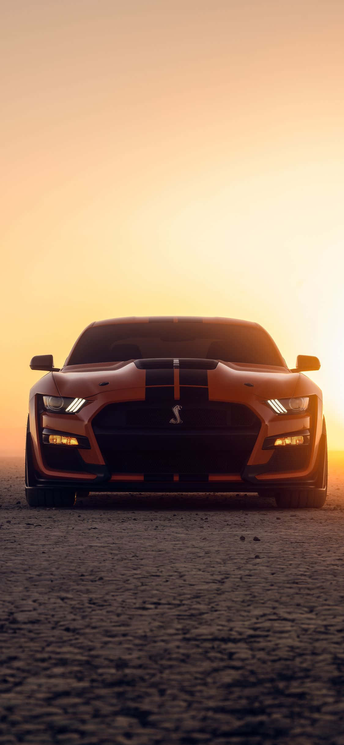 un ford mustang gt está estacionado en el desierto al atardecer Fondos de pantalla