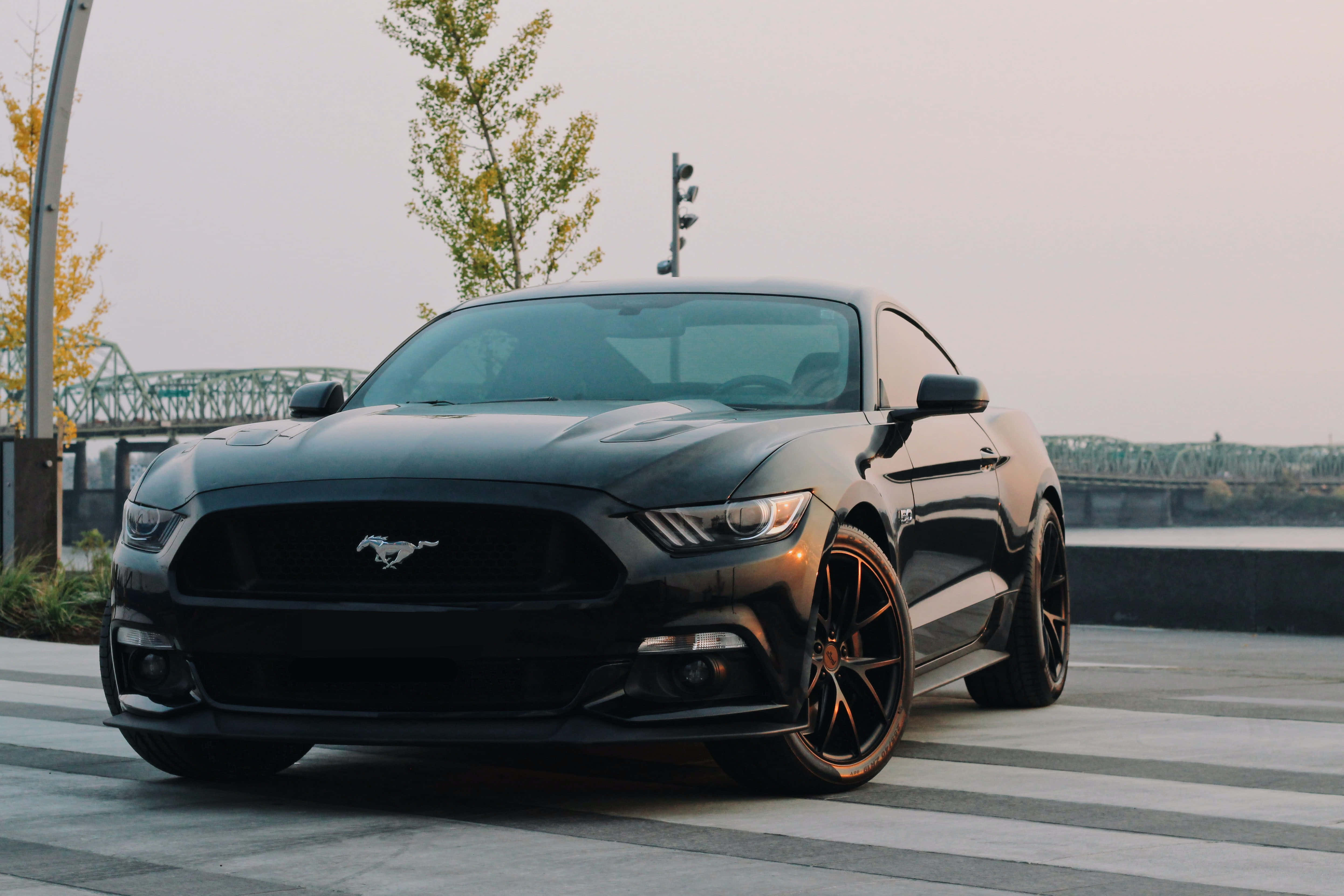 un Ford Mustang negro estacionado en una calle Fondos de pantalla