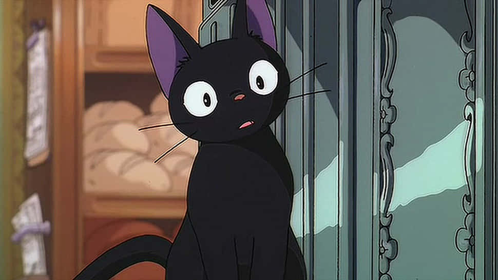 Un gato anime de ojos azules disfrutando del atardecer Fondos de pantalla