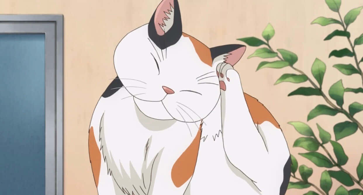 ¡Un gato anime tan lindo con lentes! Fondos de pantalla