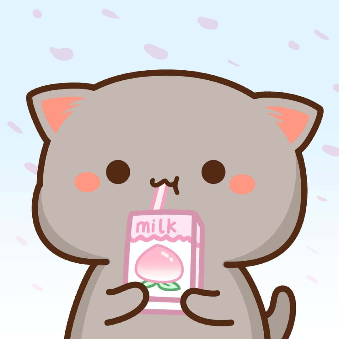 un gato bebiendo leche de un cartón Fondos de pantalla
