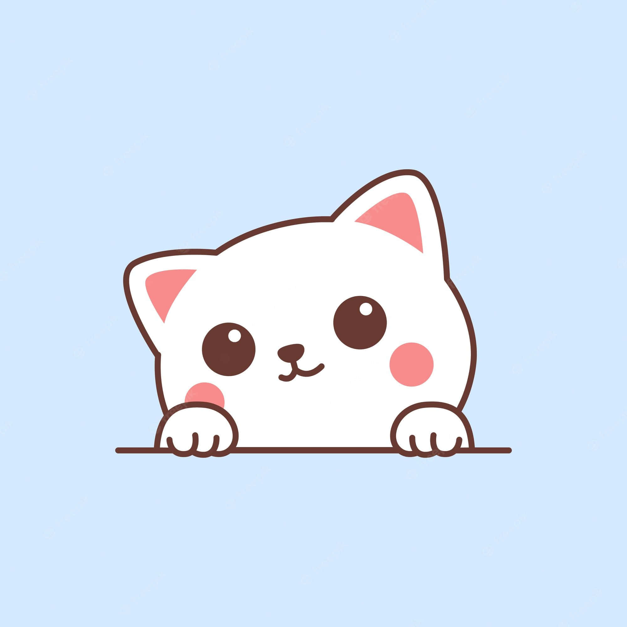un gato blanco asomándose desde la esquina Fondos de pantalla