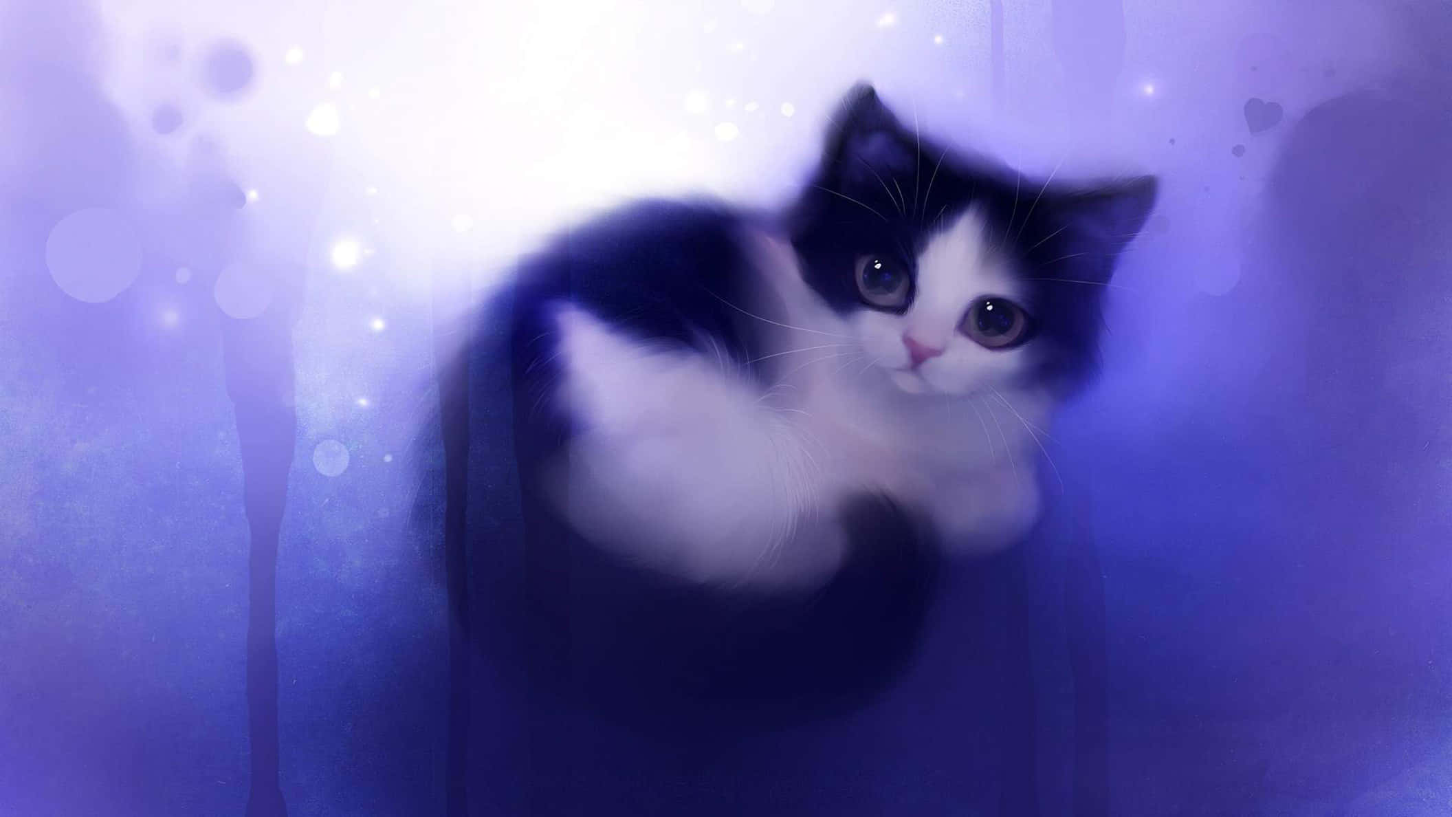 un gato blanco y negro sentado sobre un fondo morado Fondos de pantalla