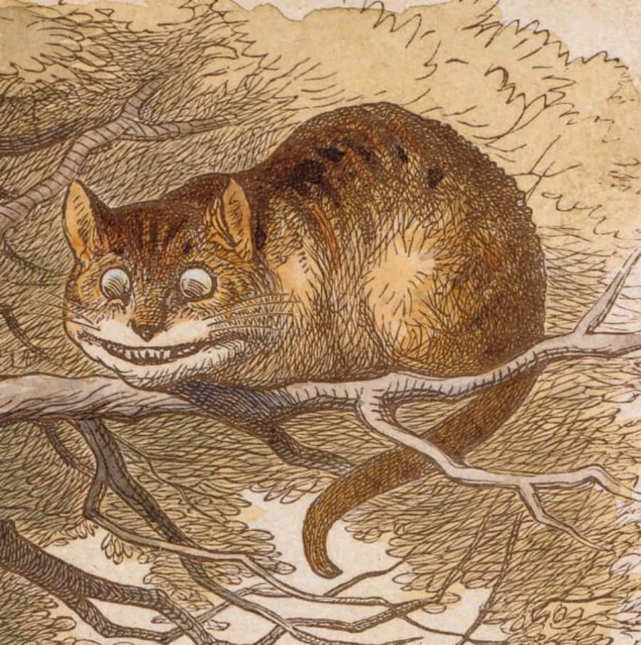 Un gato sentado en la rama de un árbol Fondos de pantalla