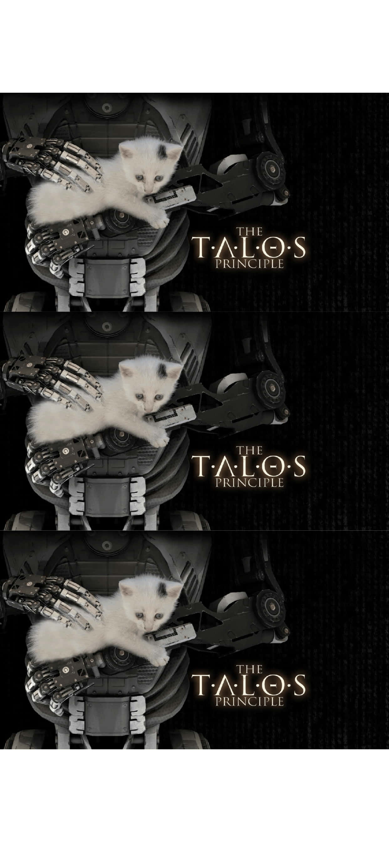 un gato sentado sobre un robot Fondos de pantalla