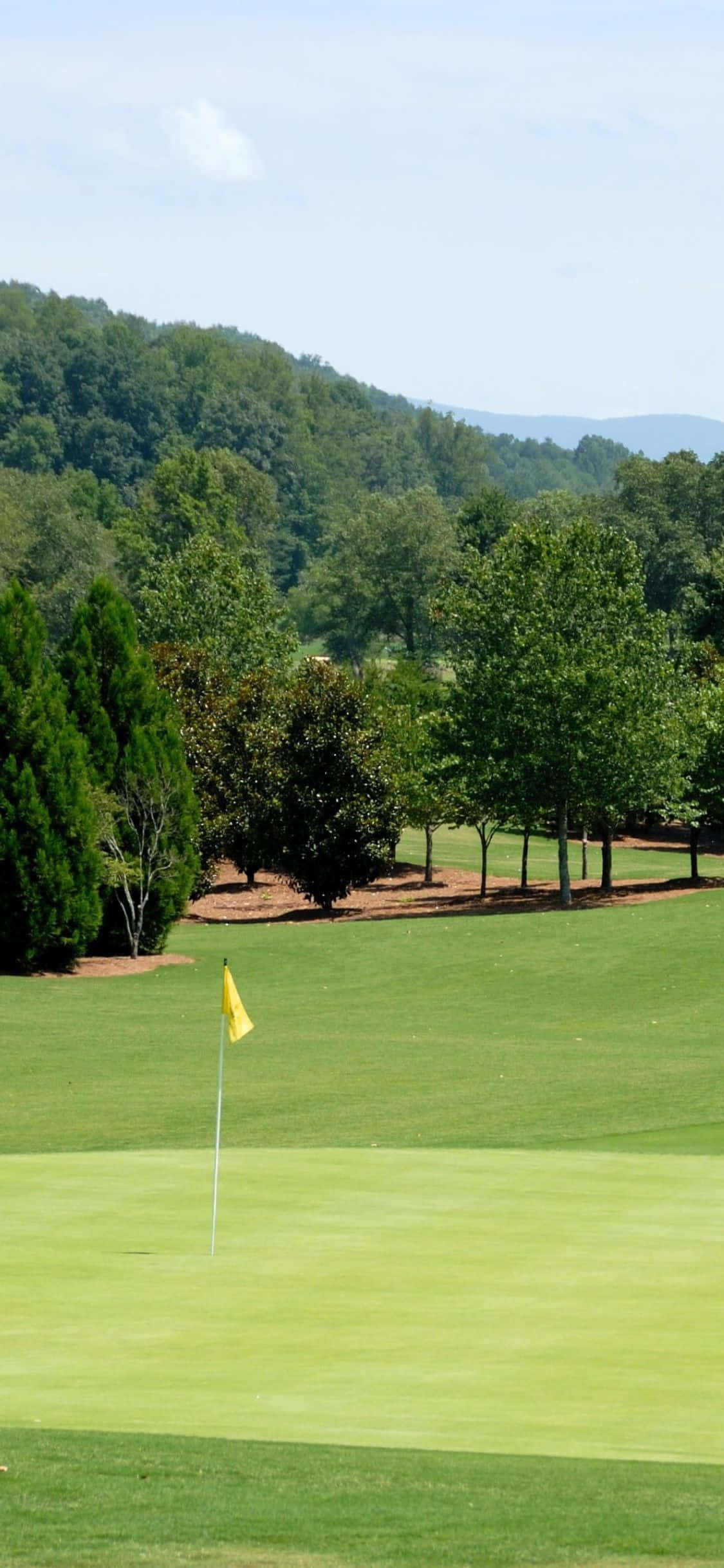 Un golfista dando un golpe de salida con un idílico telón de fondo de las doradas colinas ondulantes de un campo de golf. Fondos de pantalla