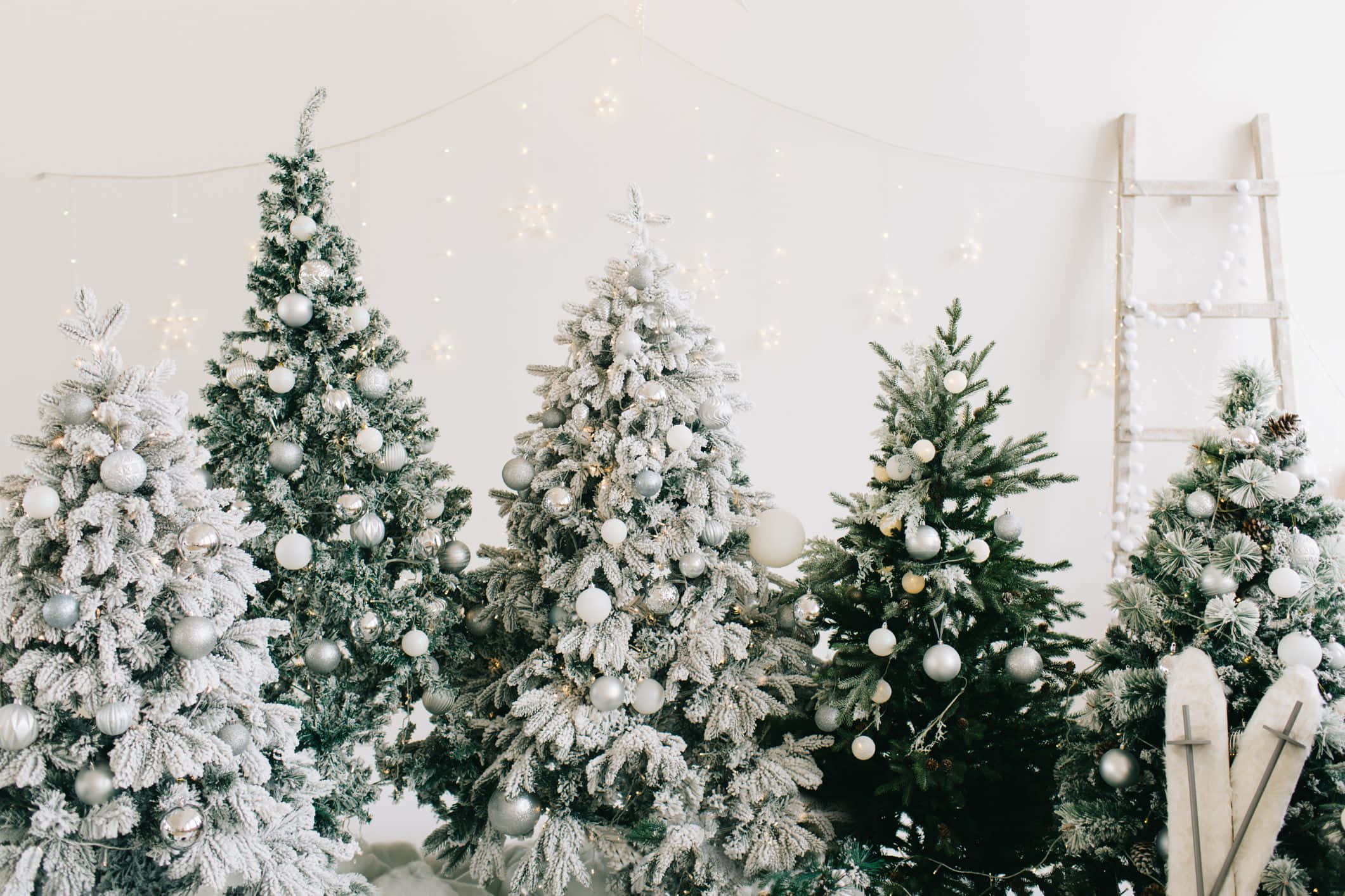 Un grupo de árboles de Navidad en una habitación Fondos de pantalla
