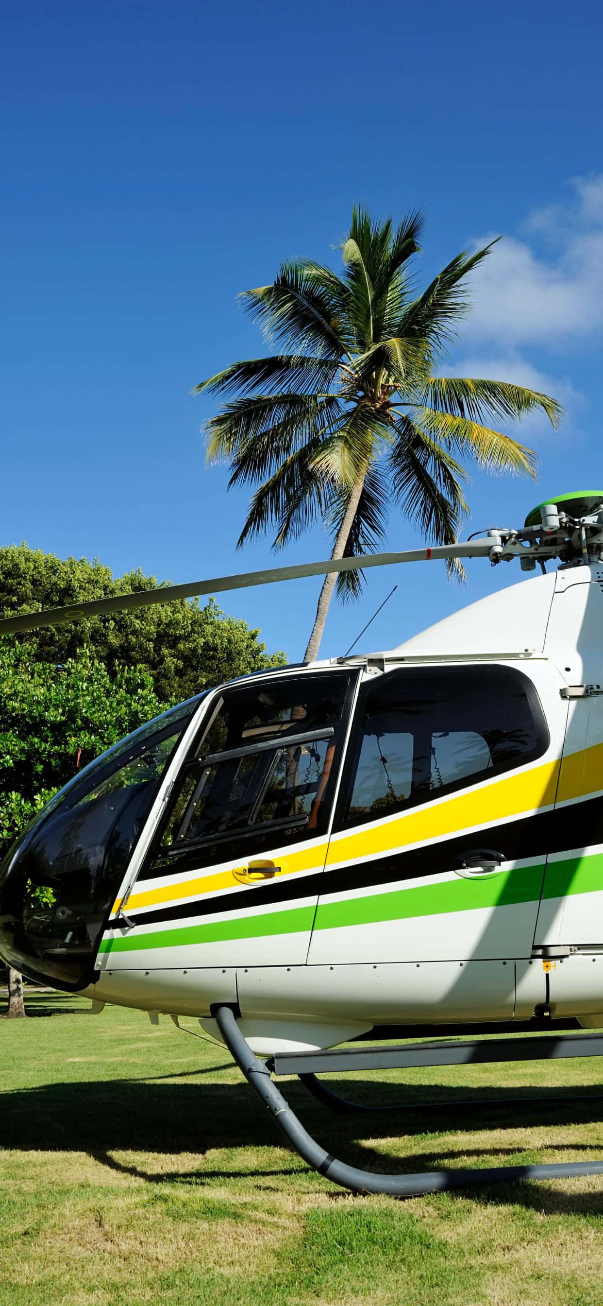 un helicóptero estacionado en el césped Fondos de pantalla
