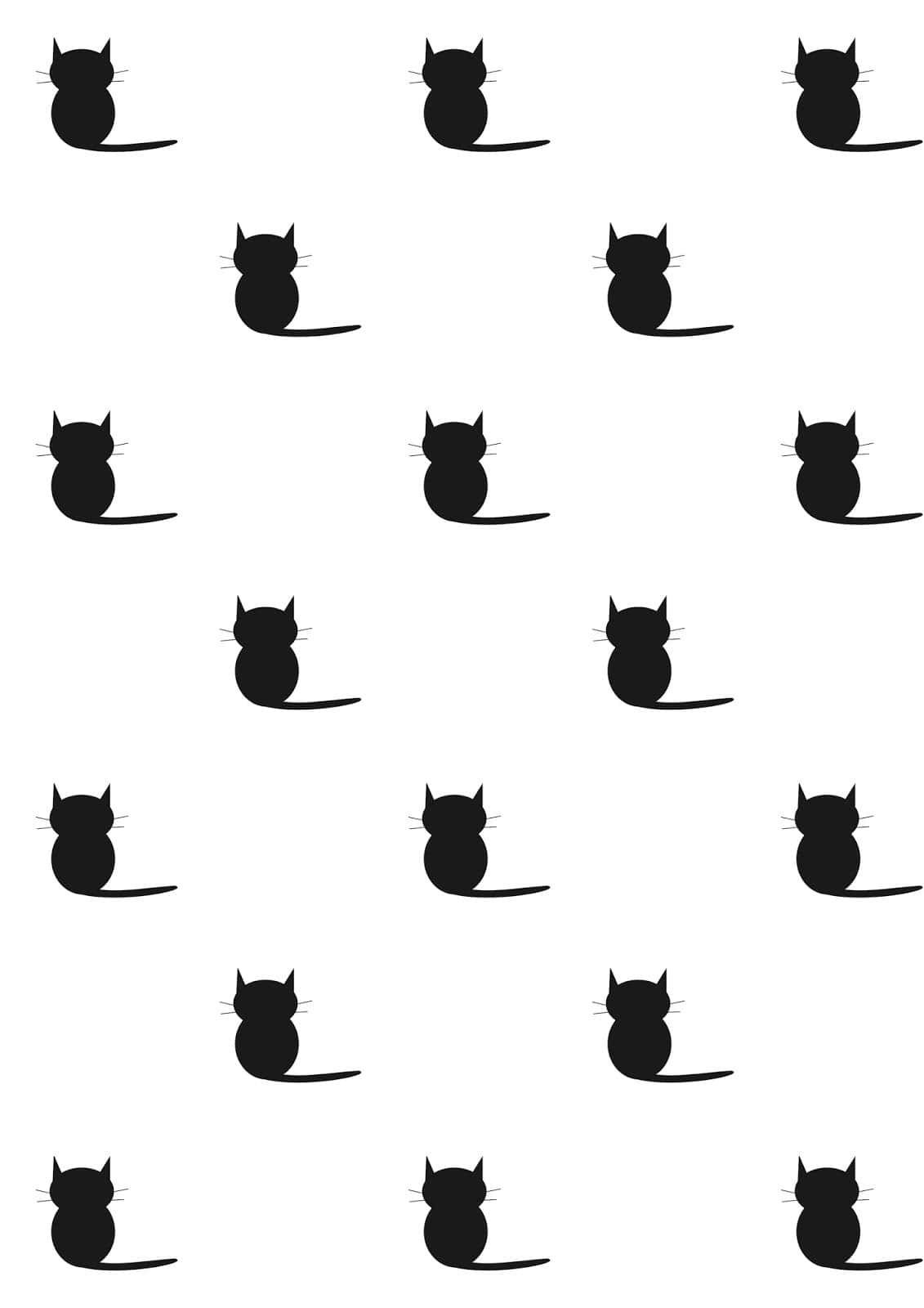 Un hermoso gato negro mira fijamente. Fondos de pantalla