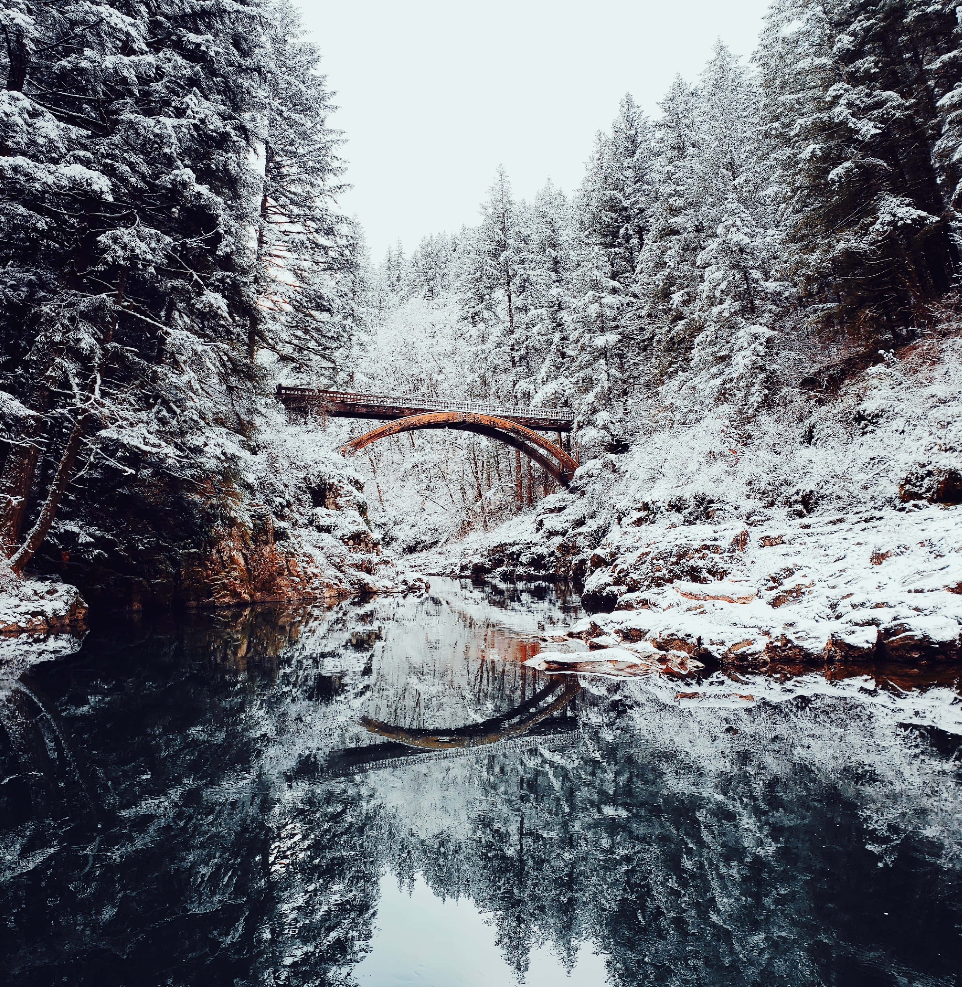 Un hermoso paraíso invernal Fondos de pantalla